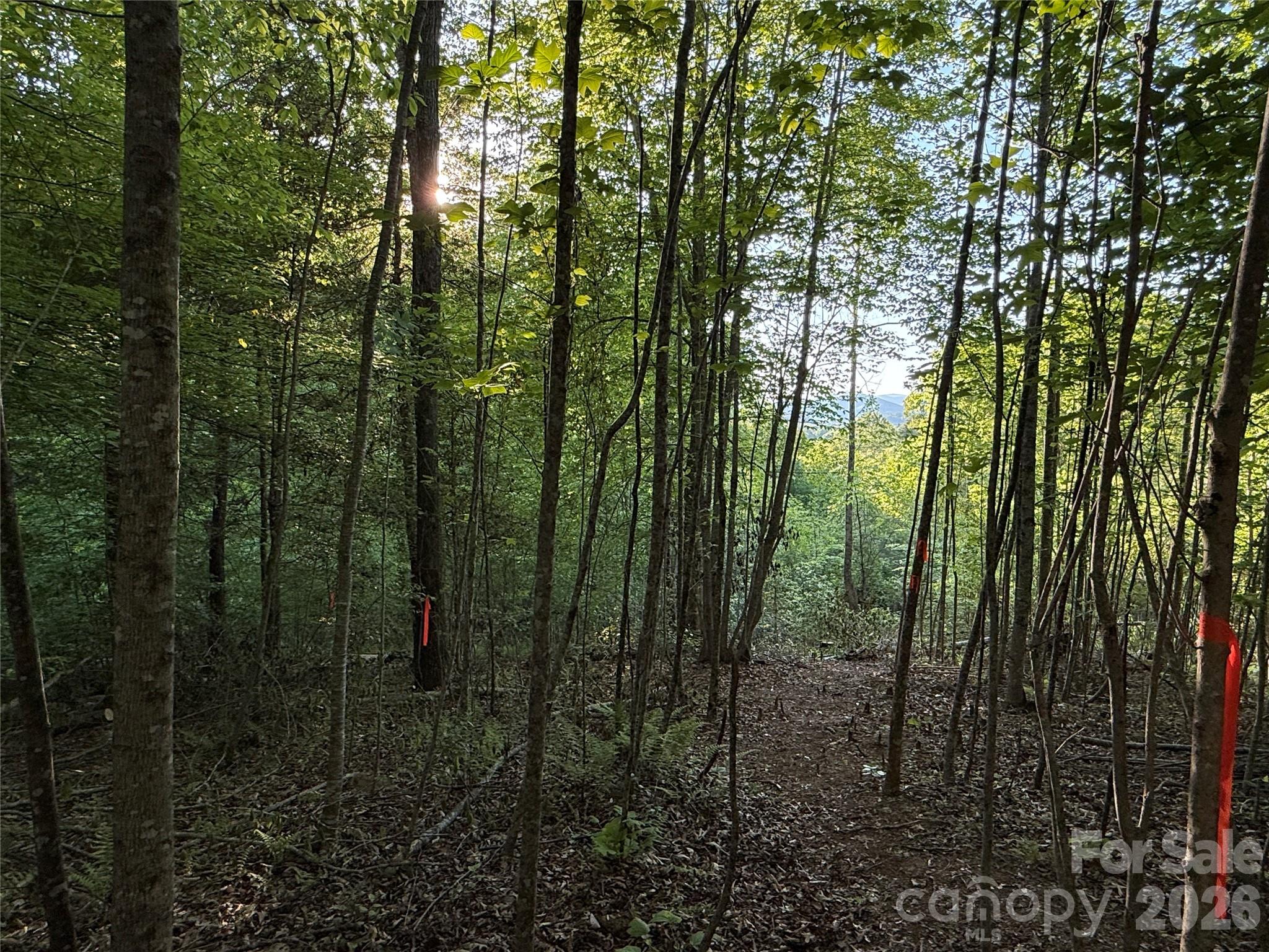 1st image of Lot # 7 West Legacy Dr #7, Hendersonville, NC 28739 | MLS# 4326809