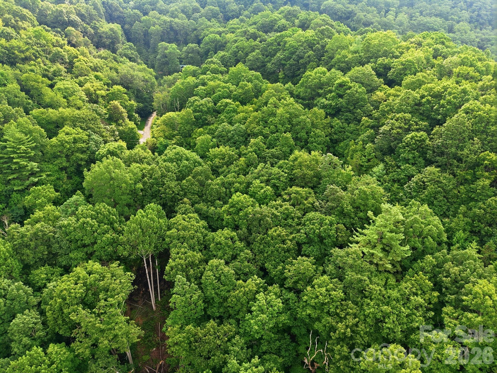 4th image of 00 Seasons Dr #Lot 43, Clyde, NC 28721 | MLS# 4329065