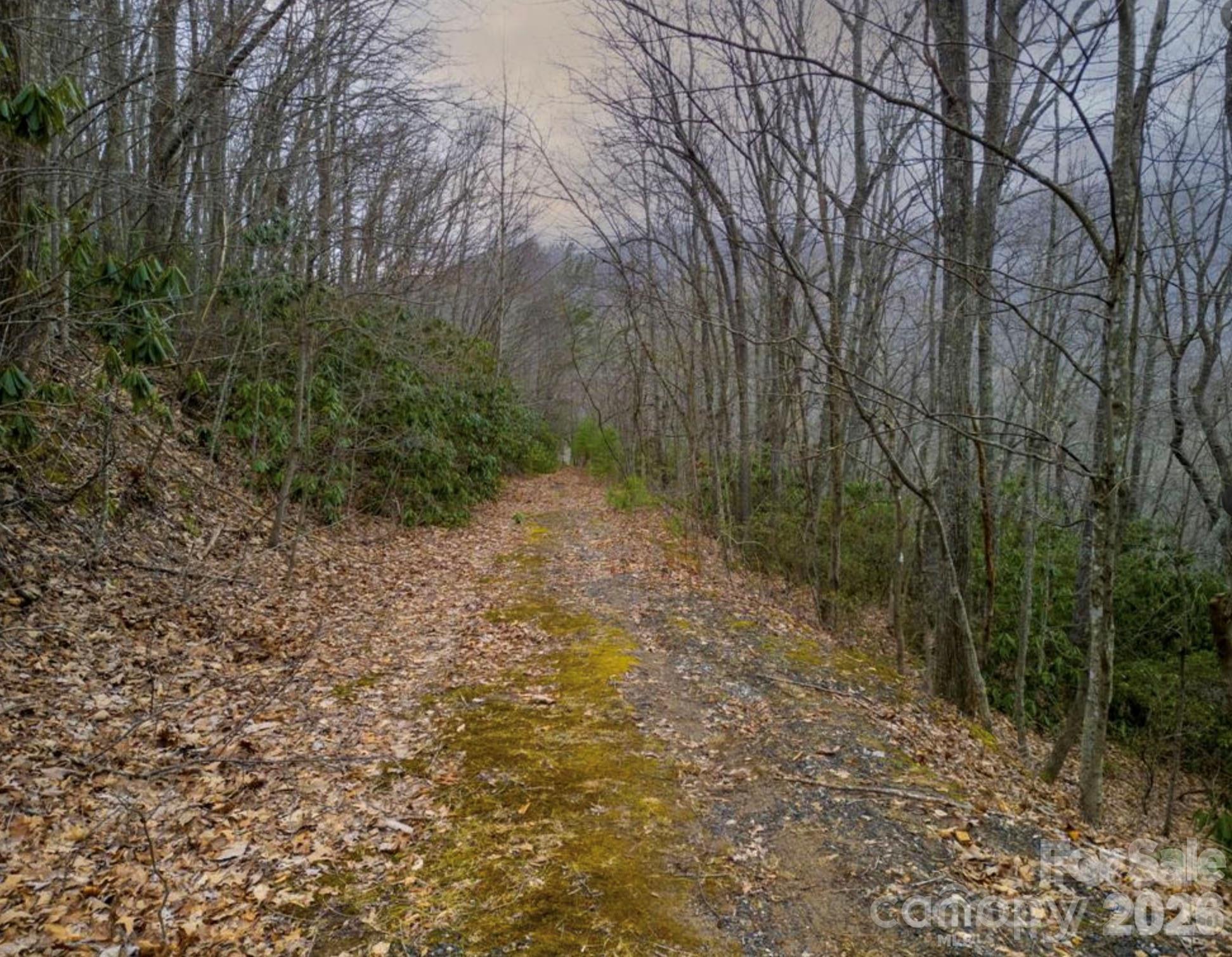 Homes for sale in Clyde, NC | 00 Seasons Dr #Lot 43, Clyde, NC 28721 | MLS# 4329065