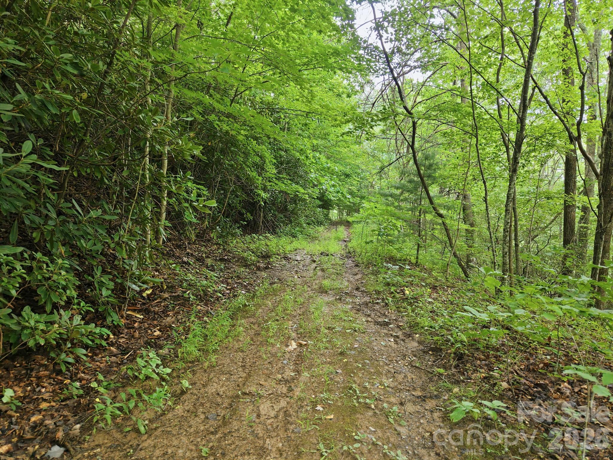3rd image of 00 Seasons Dr #Lot 43, Clyde, NC 28721 | MLS# 4329065