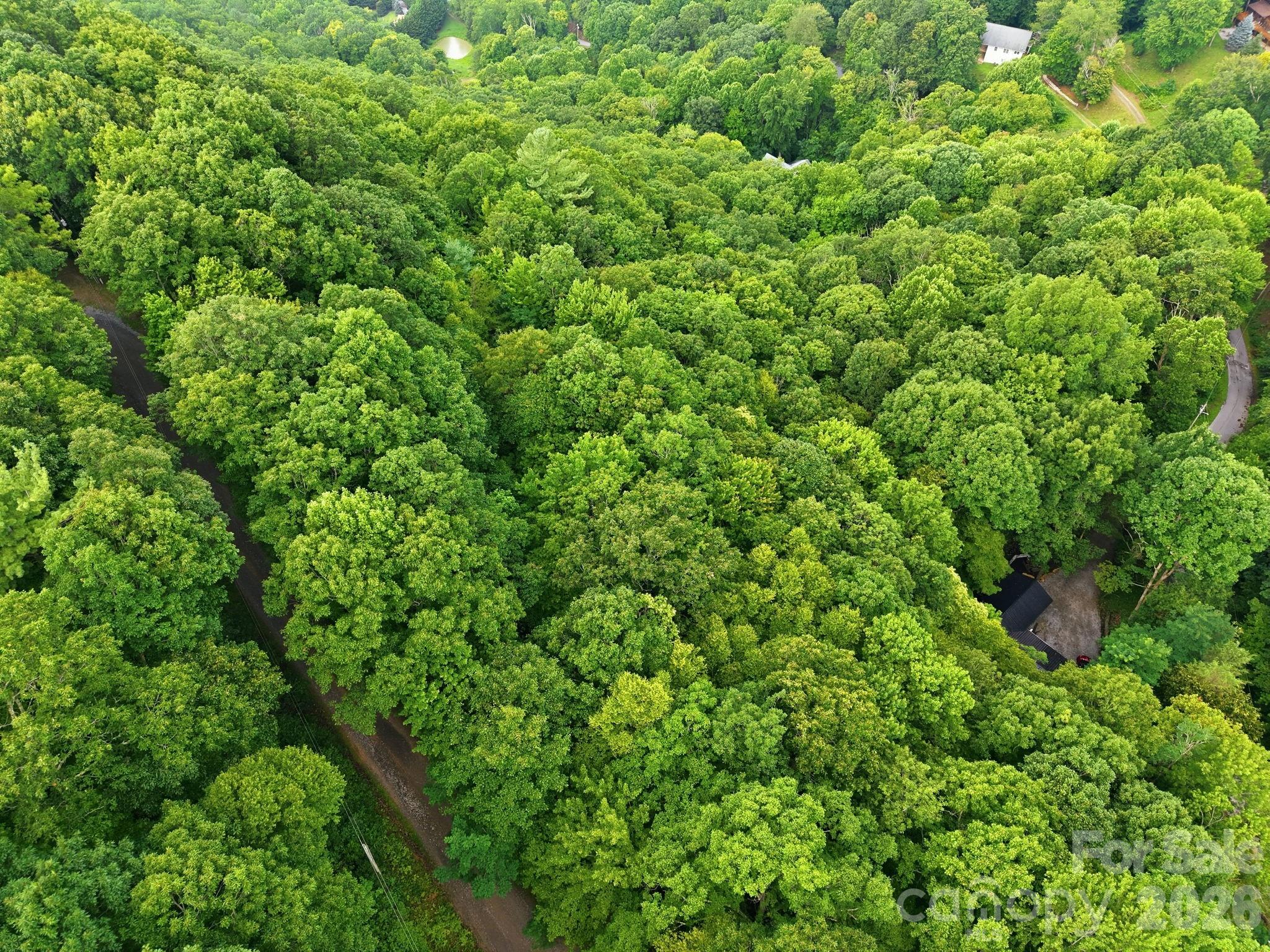 5th image of 00 Seasons Dr #Lot 43, Clyde, NC 28721 | MLS# 4329065