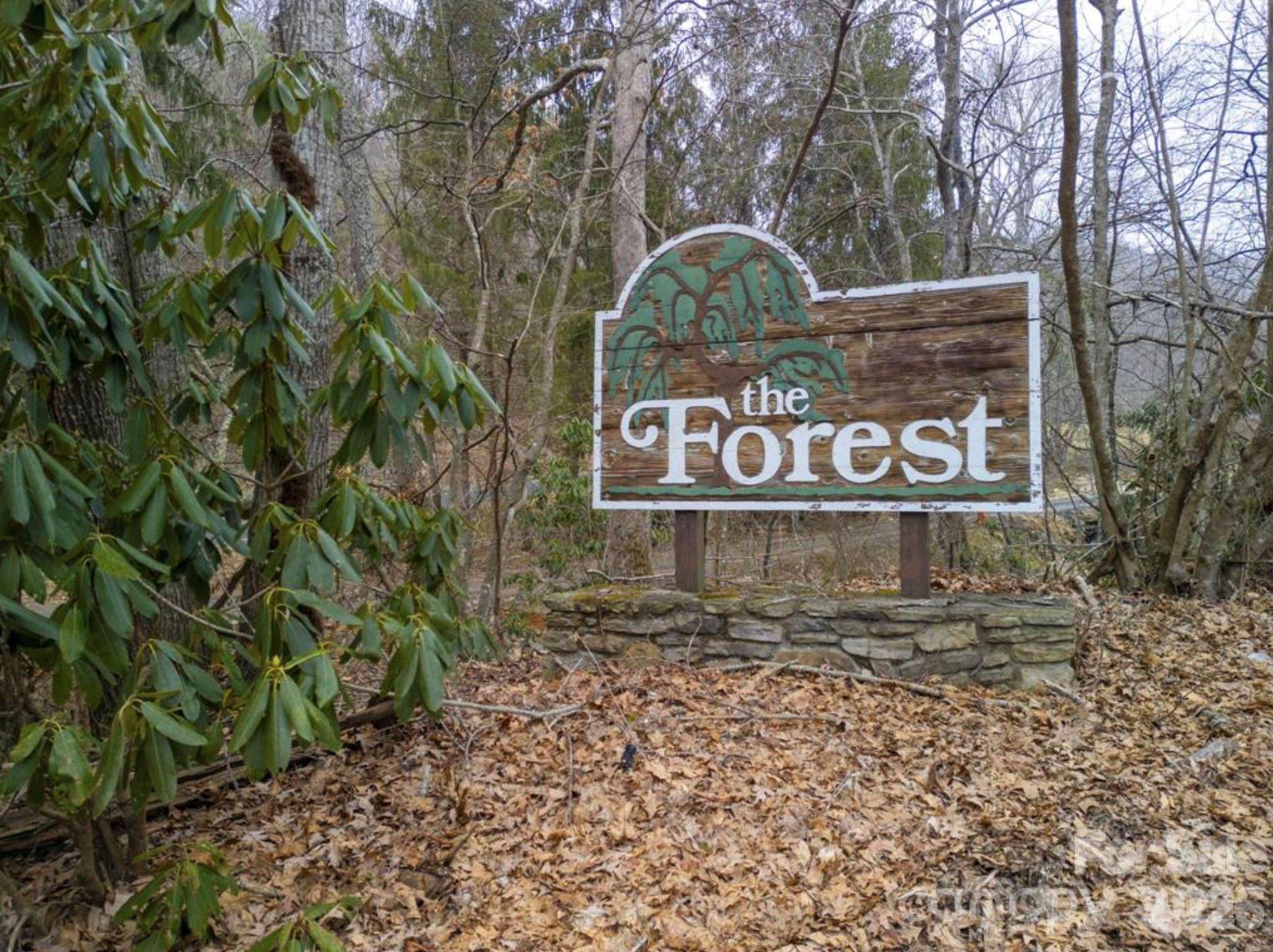 Homes for sale in Clyde, NC | 00 Seasons Dr #Lot 43, Clyde, NC 28721 | MLS# 4329065