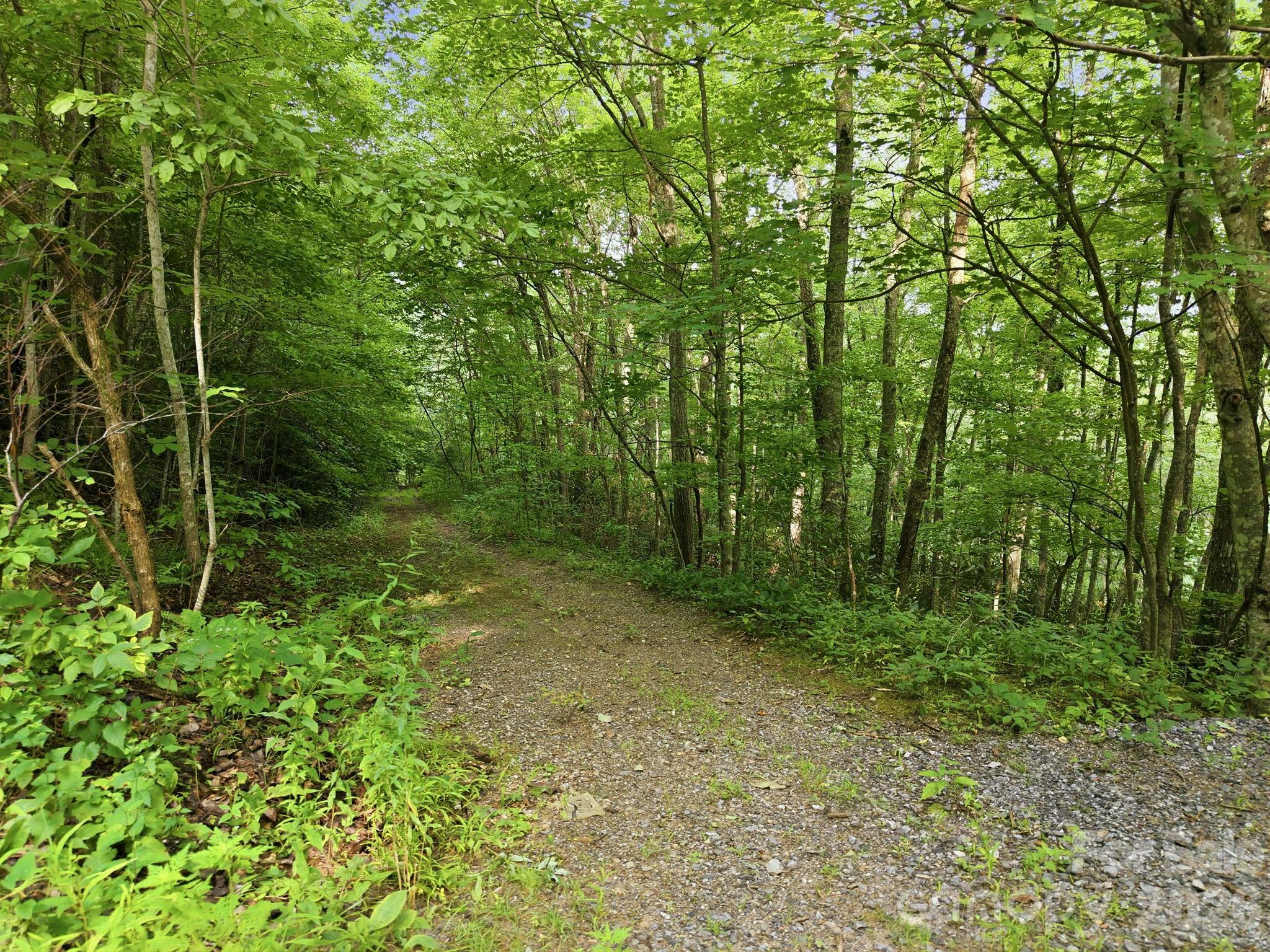 2nd image of 00 Seasons Dr #Lot 43, Clyde, NC 28721 | MLS# 4329065