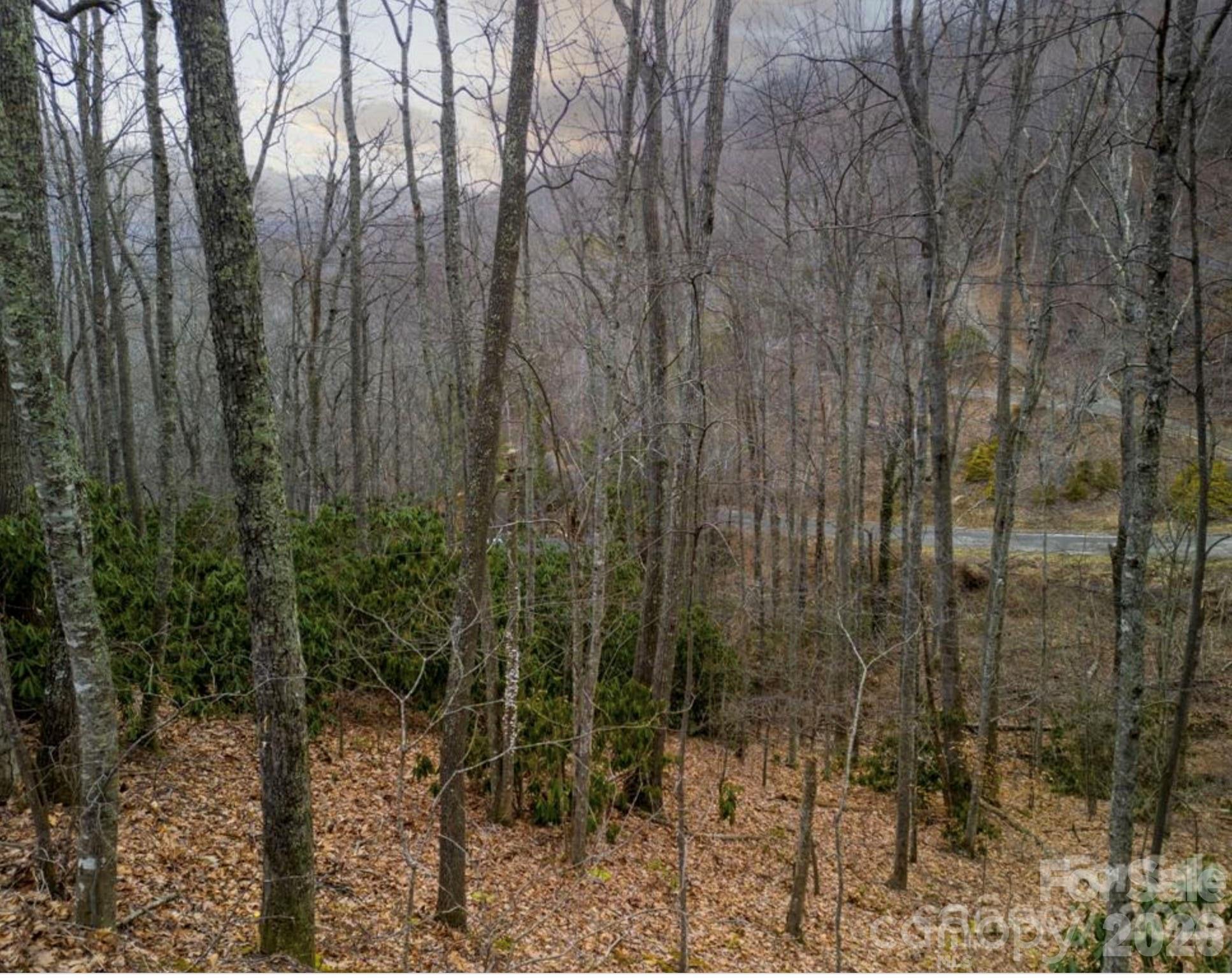 Homes for sale in Clyde, NC | 00 Seasons Dr #Lot 43, Clyde, NC 28721 | MLS# 4329065