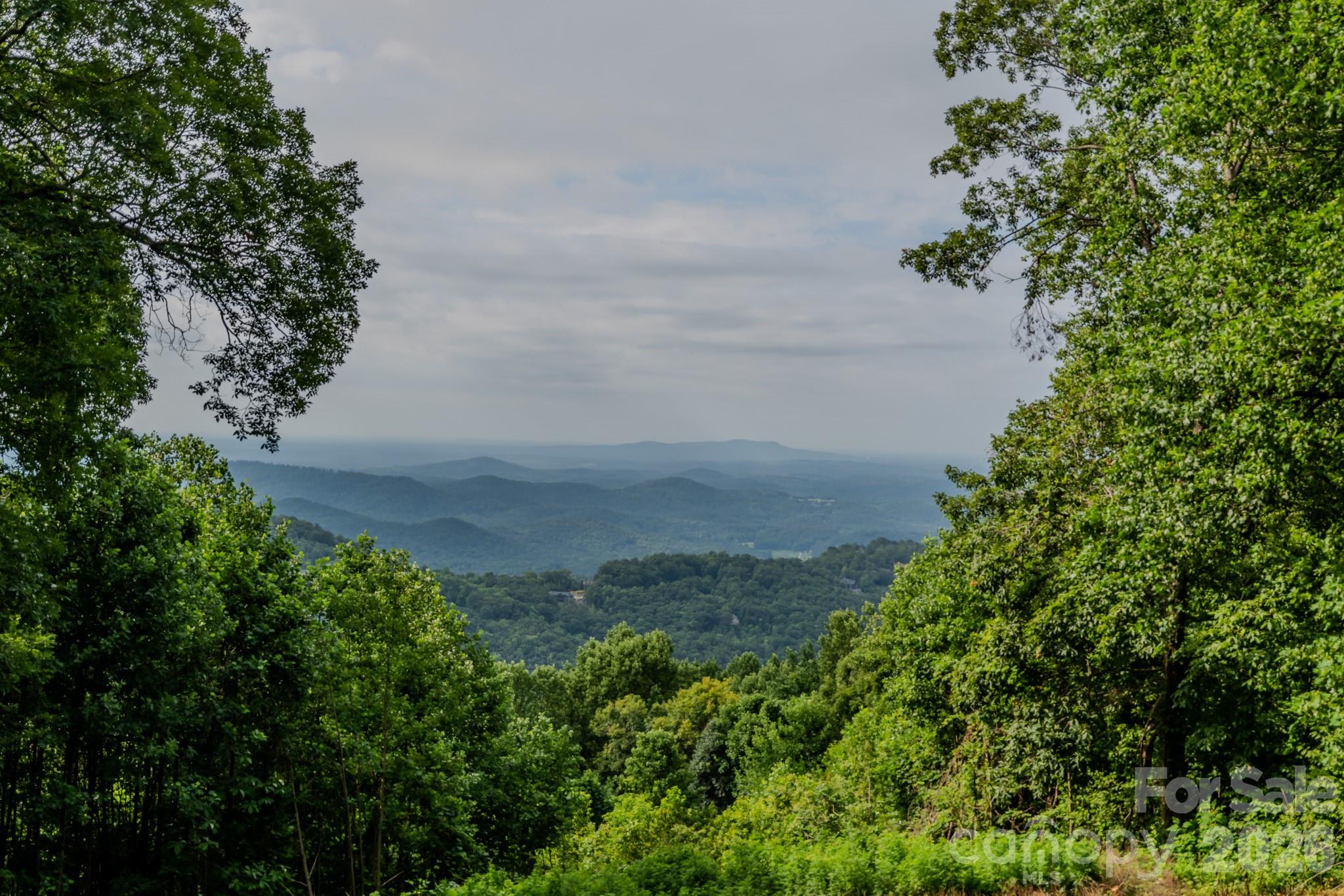 Homes for sale in Zirconia, NC | 42 Wild Magnolia Wy, Zirconia, NC 28790 | MLS# 4335152