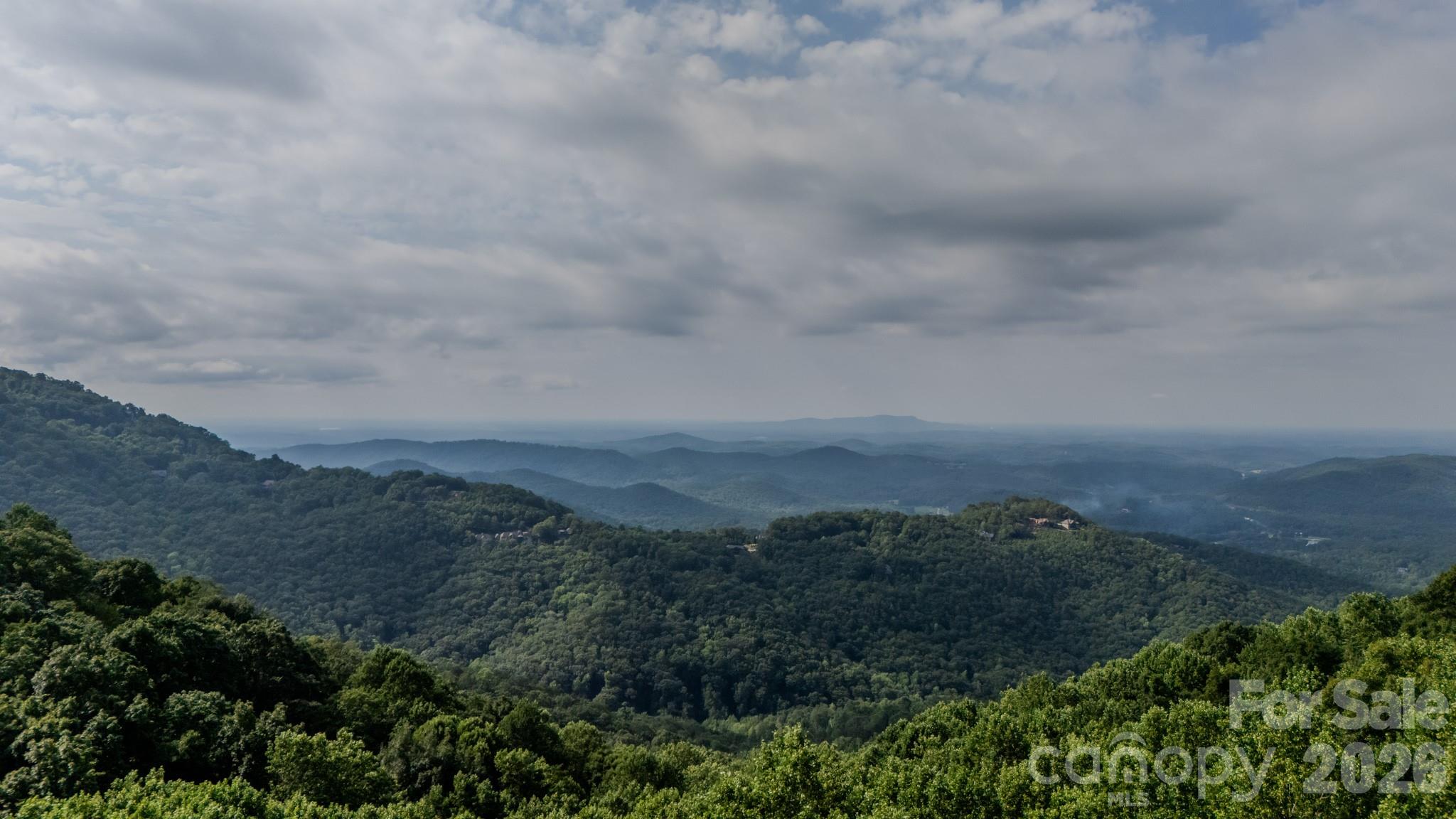 Homes for sale in Zirconia, NC | 42 Wild Magnolia Wy, Zirconia, NC 28790 | MLS# 4335152