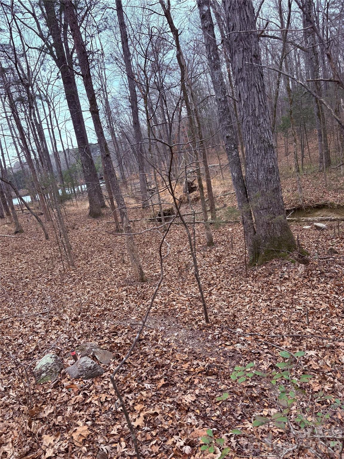 Homes for sale in Norwood, NC | 000 Vacant Nc 138 Hwy, Norwood, NC 28128 | MLS# 4340133