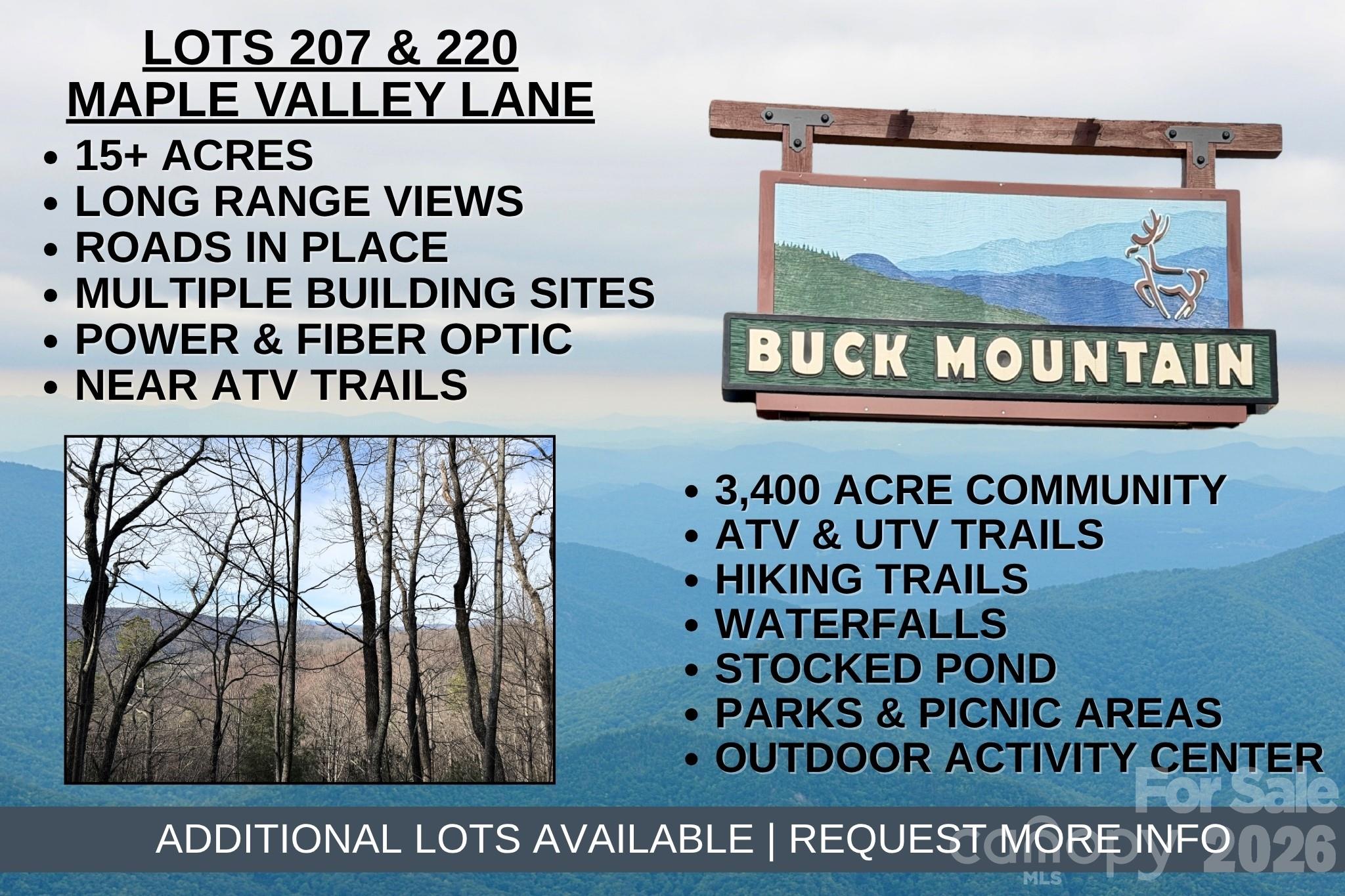 Homes for sale in Purlear, NC | Tbd Maple Valley Ln #207 & 220, Purlear, NC 28665 | MLS# 4346769