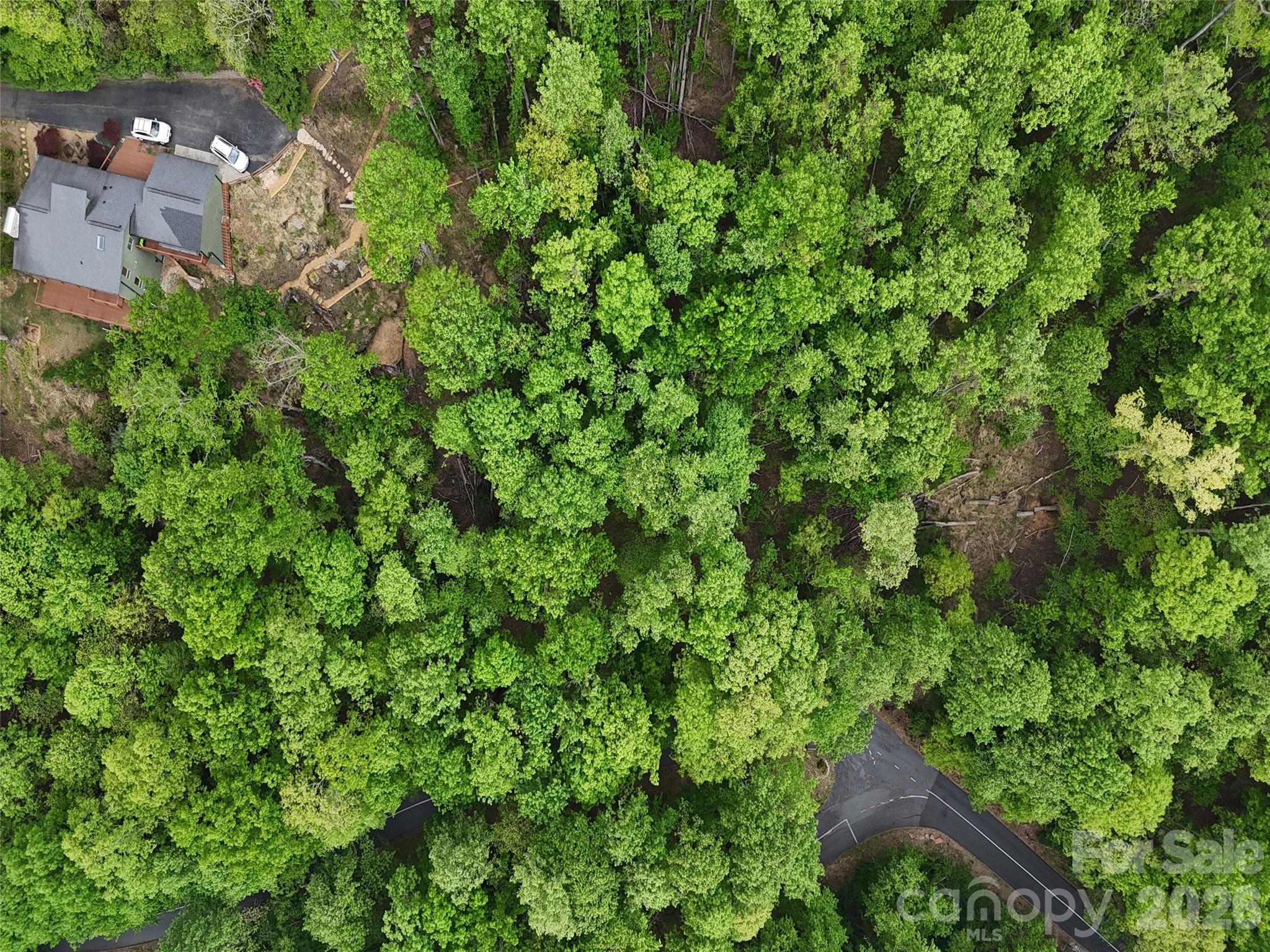 3rd image of Lot #117 Honey Locust Dr, Mills River, NC 28759 | MLS# 4356859