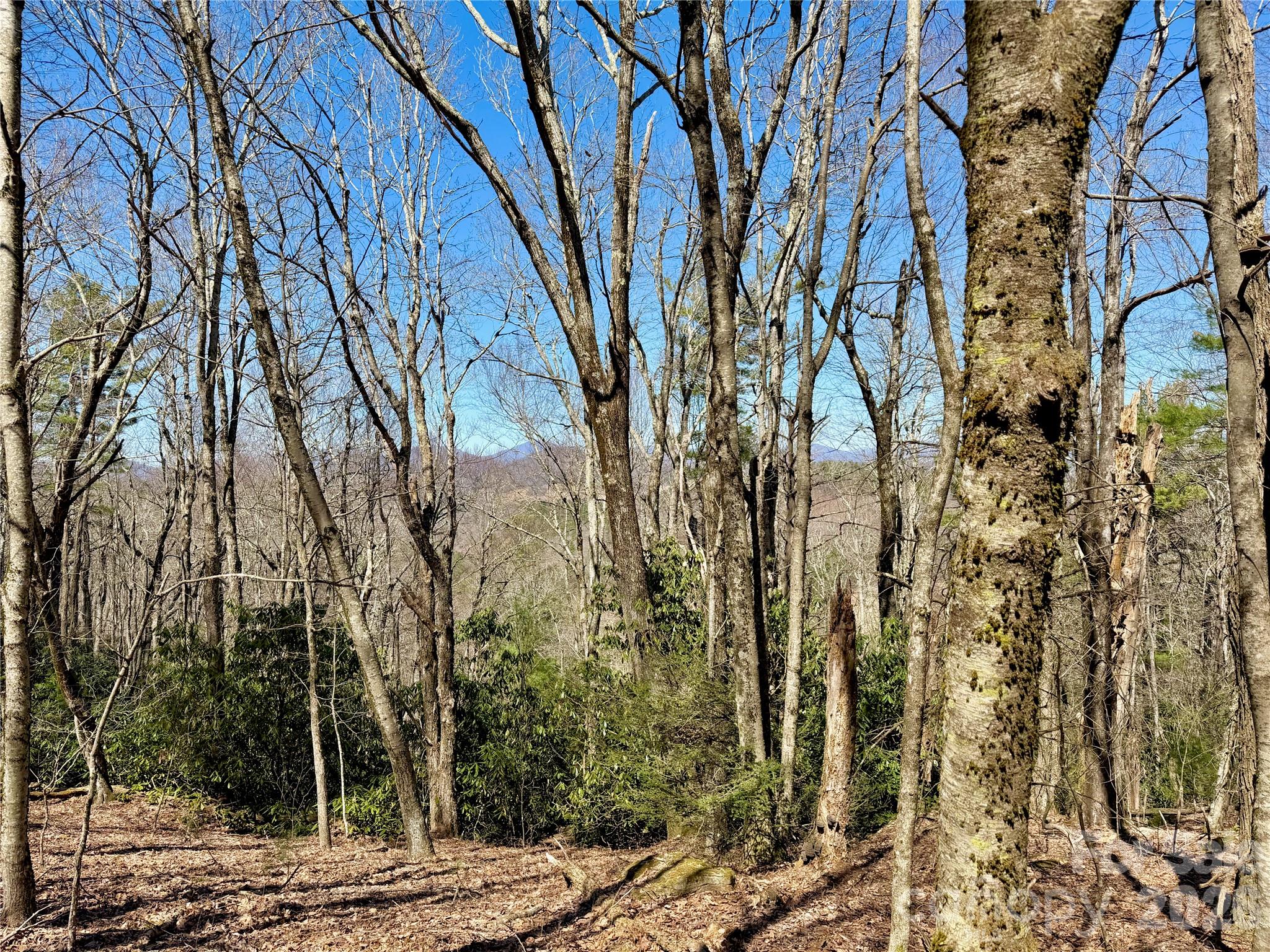 Homes for sale in Boone, NC | Tbd Grandview Dr #Tract A, Boone, NC 28607 | MLS# 4363348