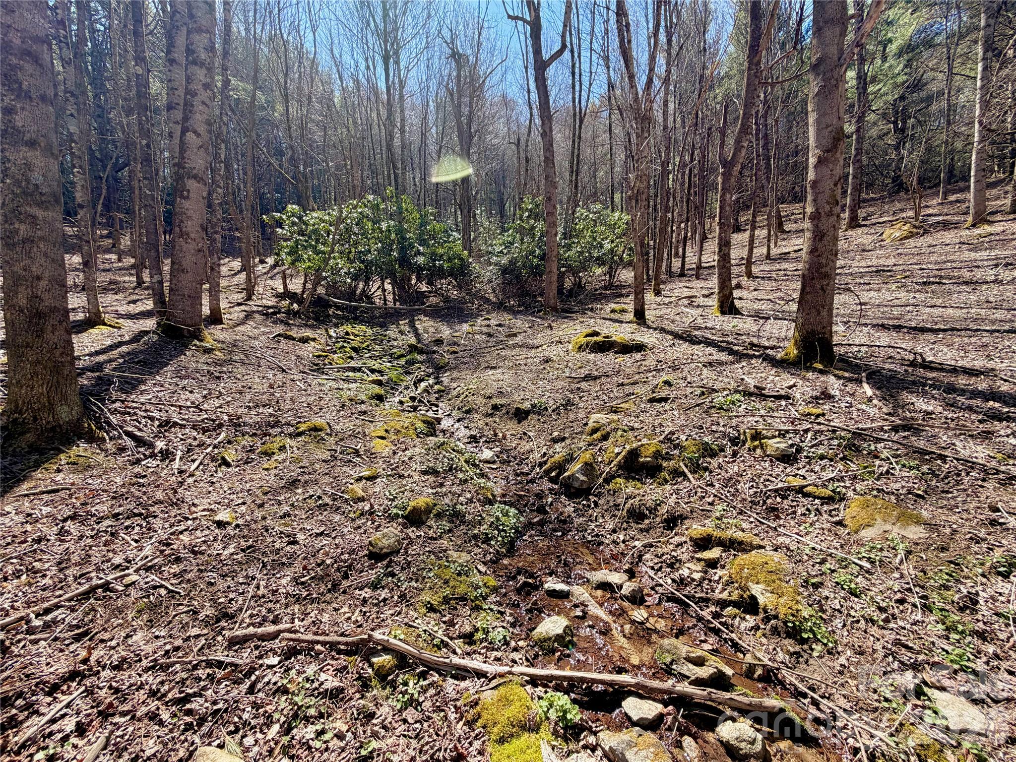 Homes for sale in Boone, NC | Tbd George Hayes Rd #Tract B, Boone, NC 28607 | MLS# 4363375