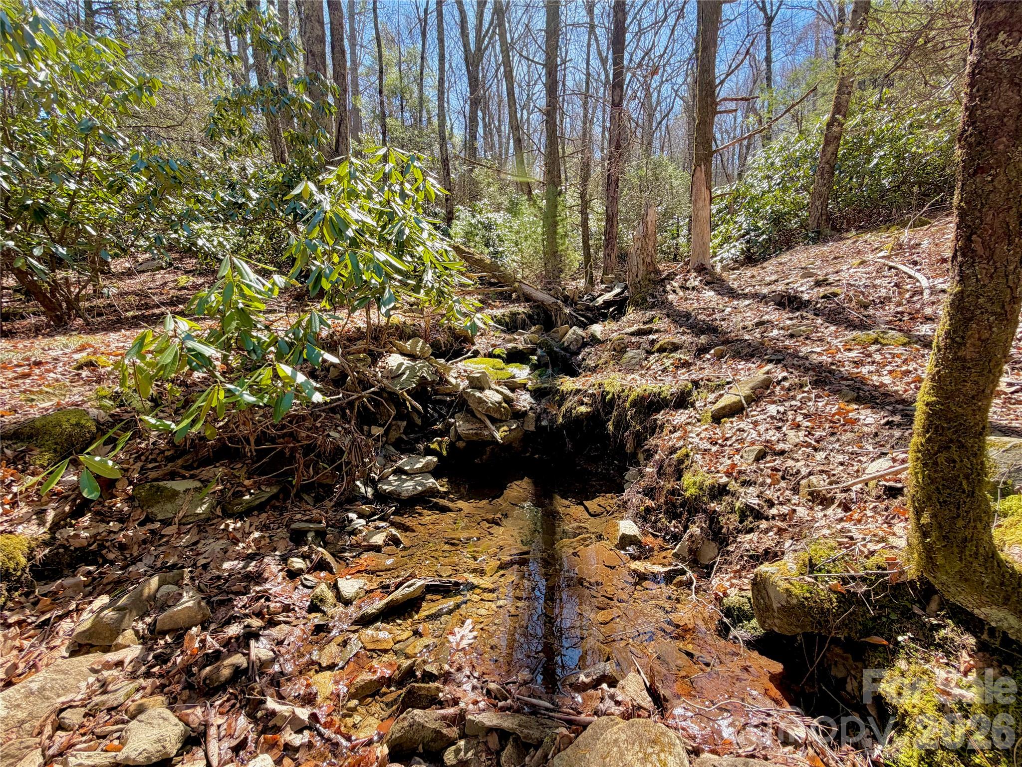 Homes for sale in Boone, NC | Tbd George Hayes Rd #Tract C, Boone, NC 28607 | MLS# 4363382