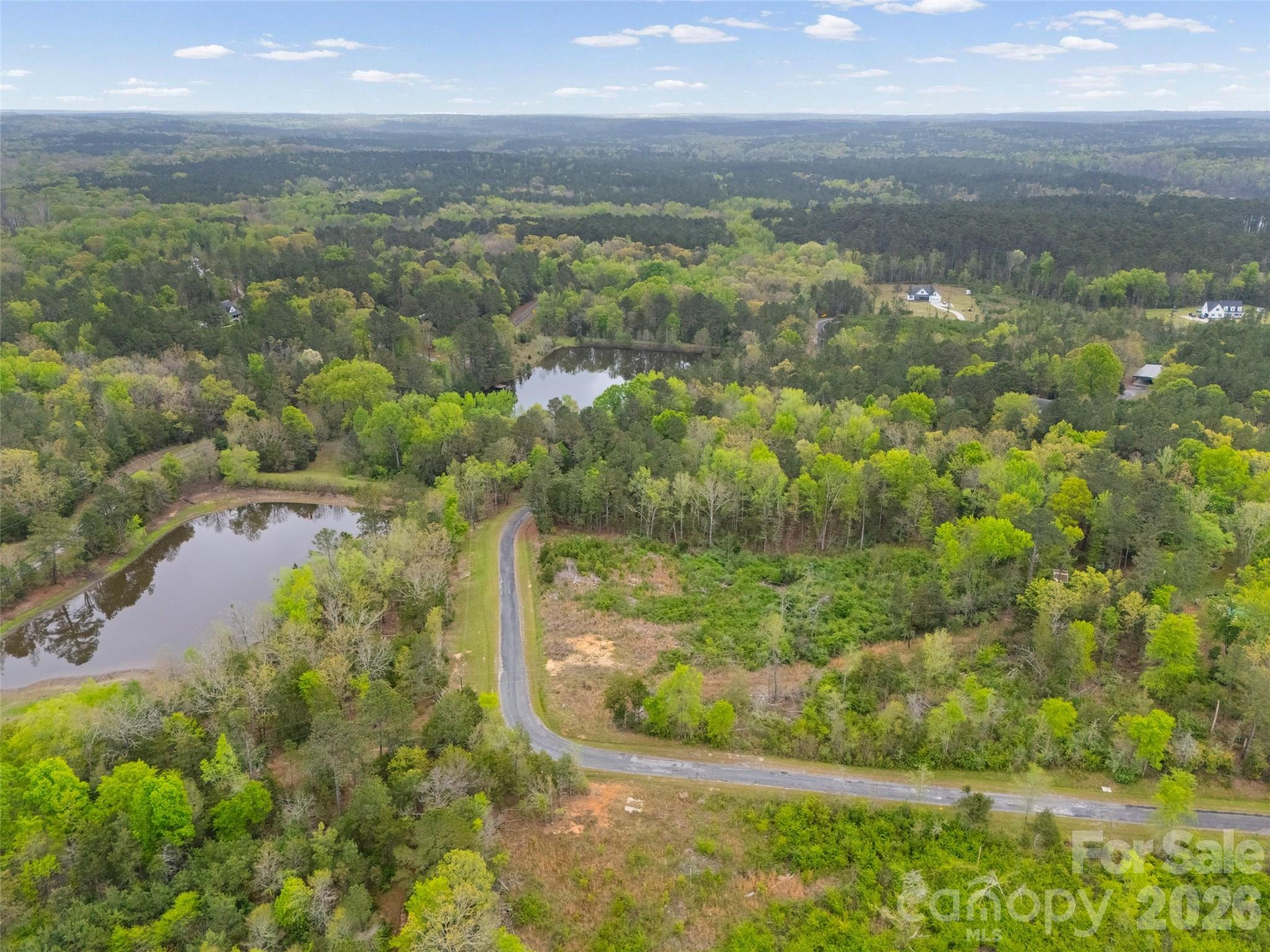 19th image of Lot Tbd Springwood Lakes Rd, Chester, SC 29706 | MLS# 4363439