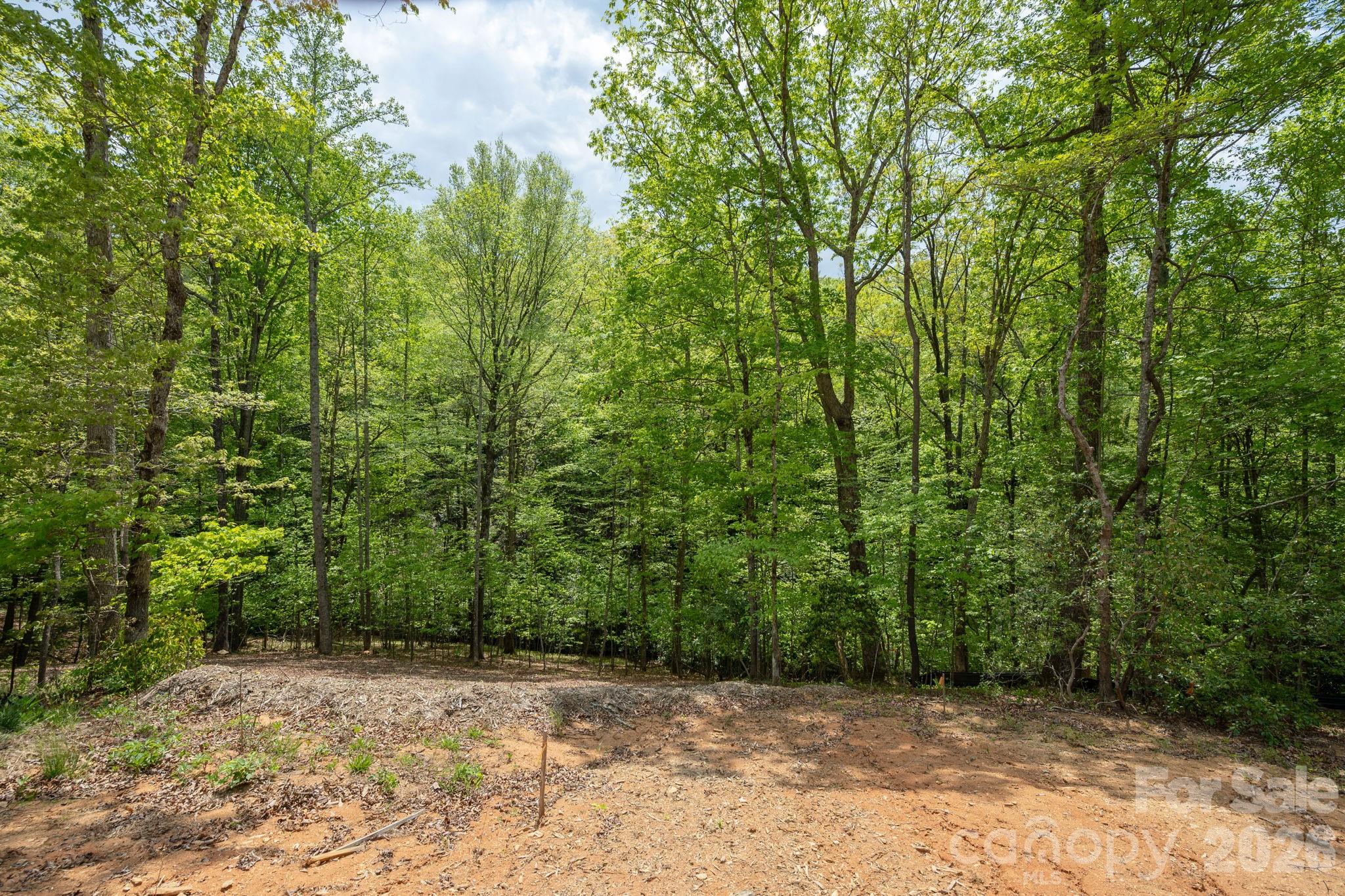 Homes for sale in Hendersonville, NC | 106 Skydance Trl #3, Hendersonville, NC 28739 | MLS# 4364762
