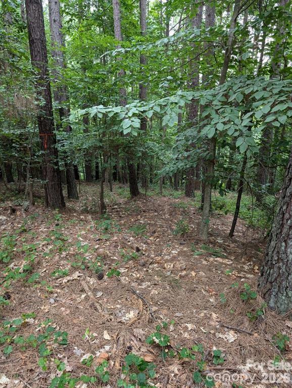 18th image of 00 Tallwood Dr #34A, Denver, NC 28037 | MLS# 4366734