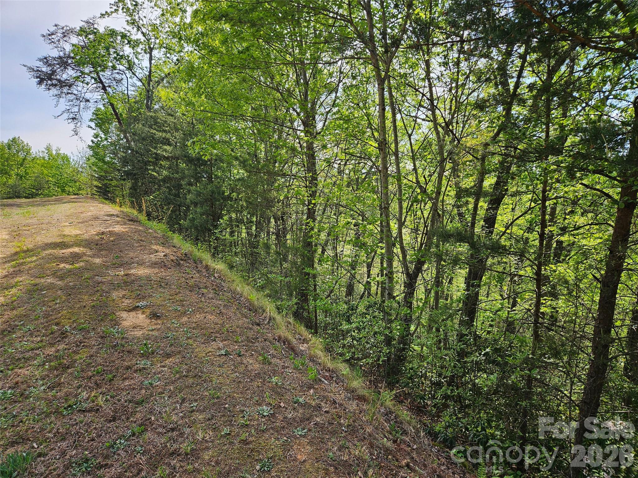 11th image of 0 High Pines Loop #101, Lake Lure, NC 28746 | MLS# 4370743