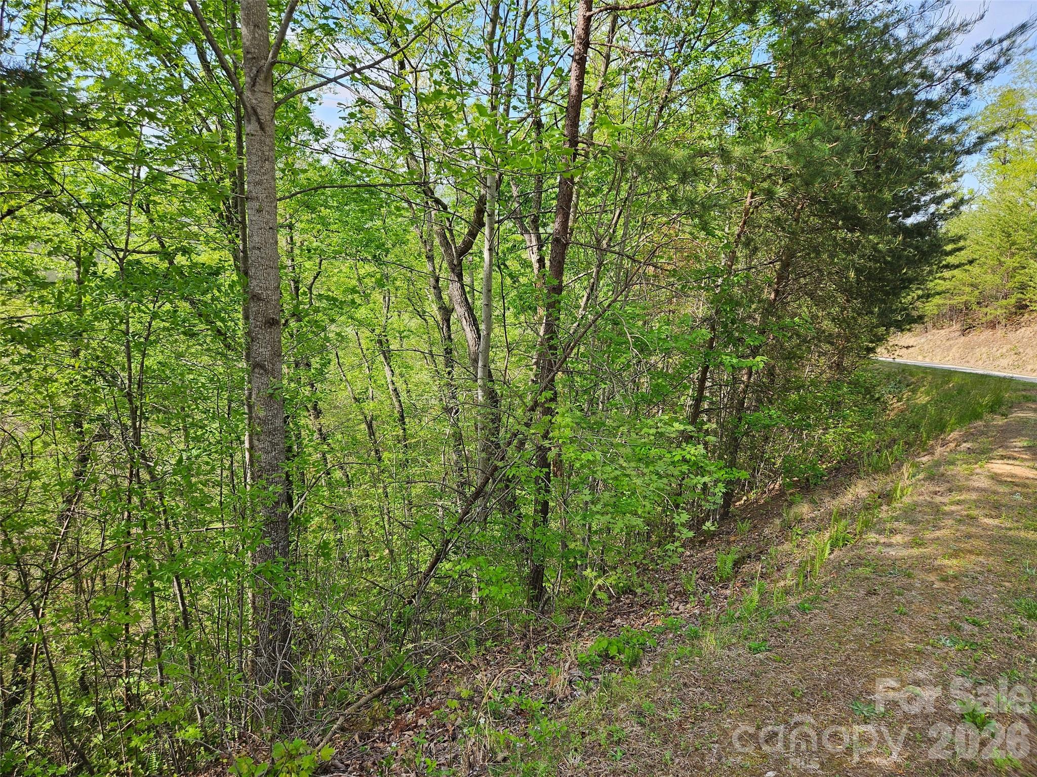 5th image of 0 High Pines Loop #101, Lake Lure, NC 28746 | MLS# 4370743