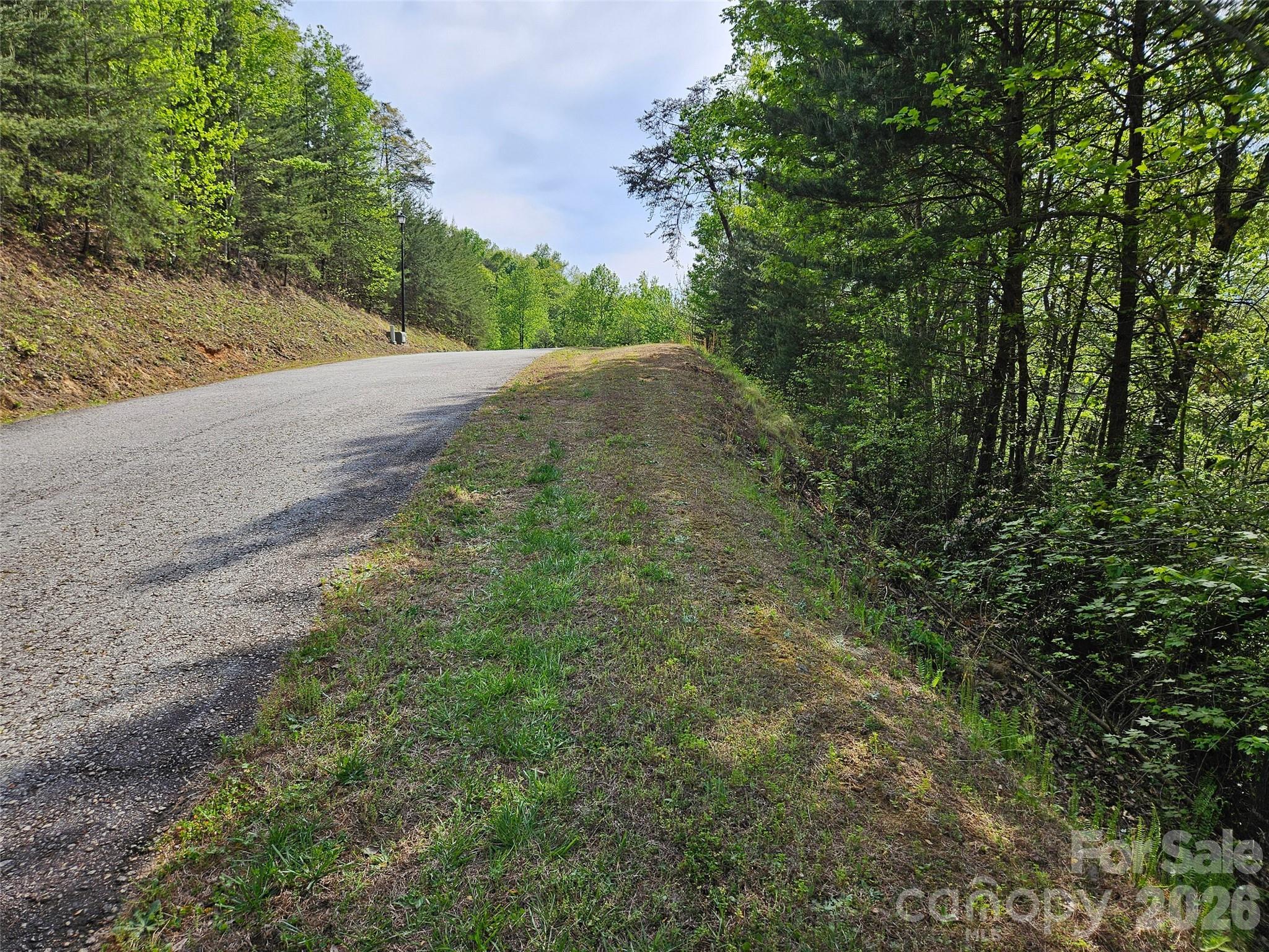 3rd image of 0 High Pines Loop #101, Lake Lure, NC 28746 | MLS# 4370743
