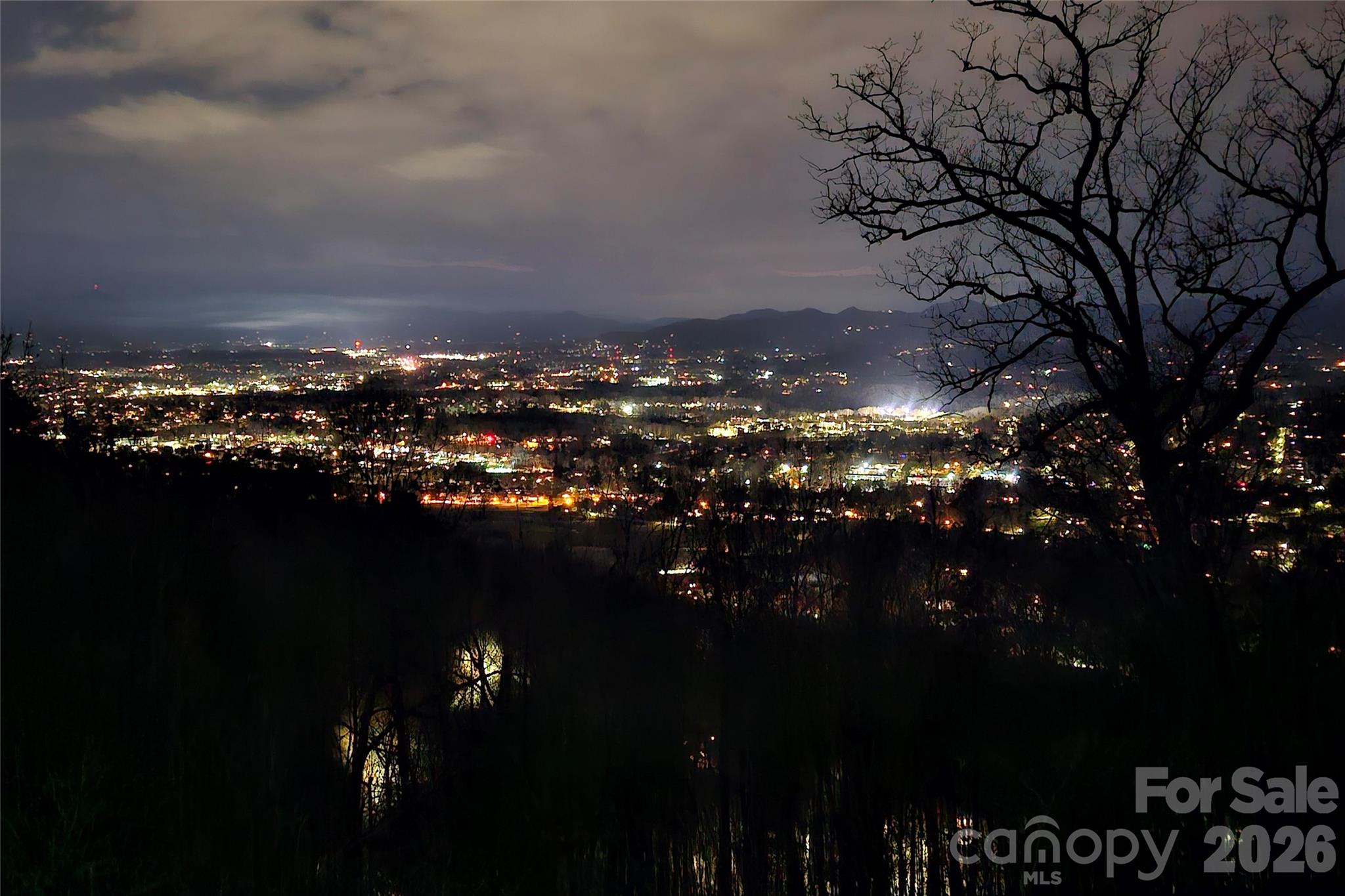 4th image of 110 Crestwood Rd, Asheville, NC 28804 | MLS# 4372619