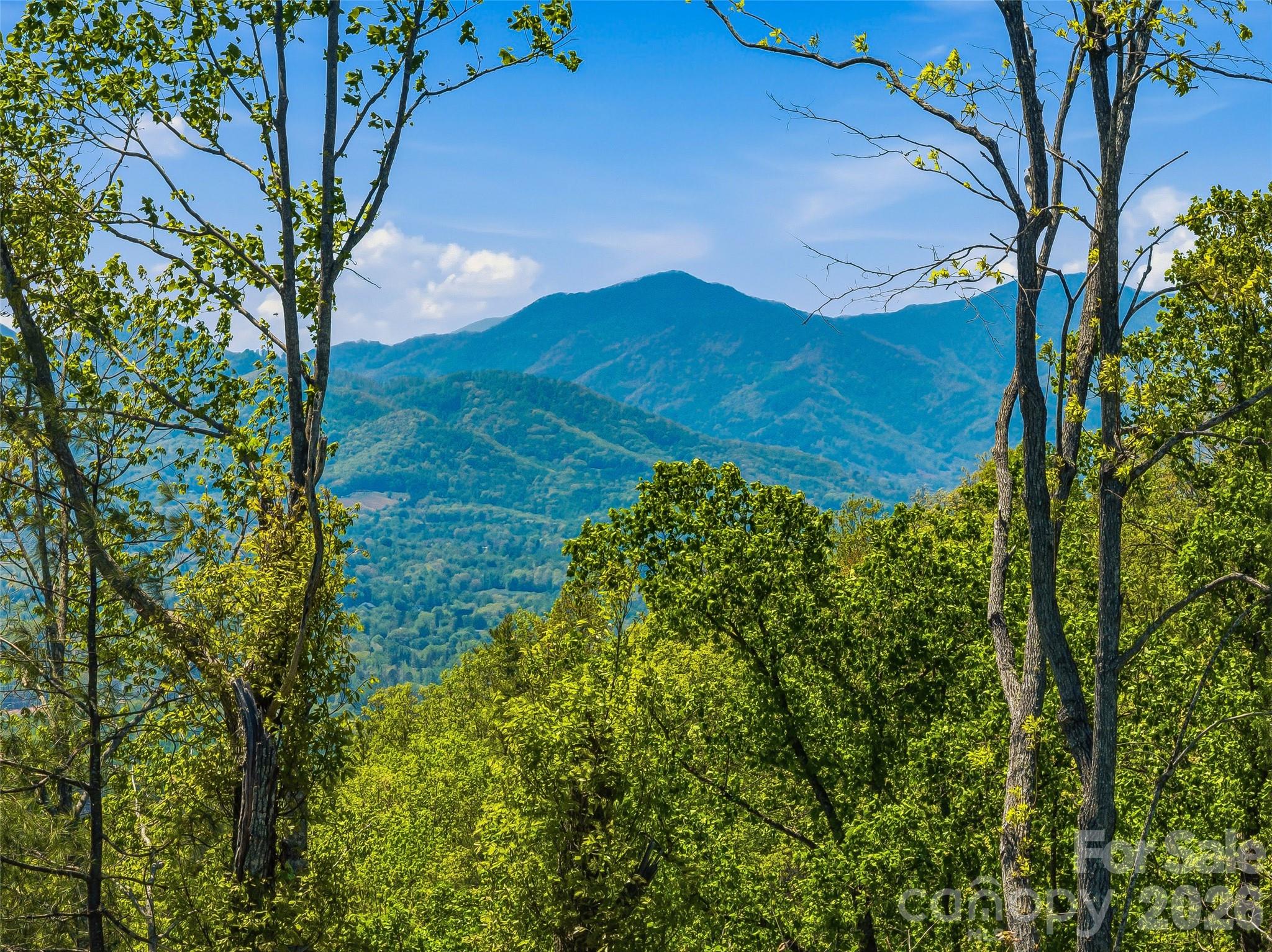 Homes for sale in Asheville, NC | 135 Starling Pass, Asheville, NC 28804 | MLS# 4374206