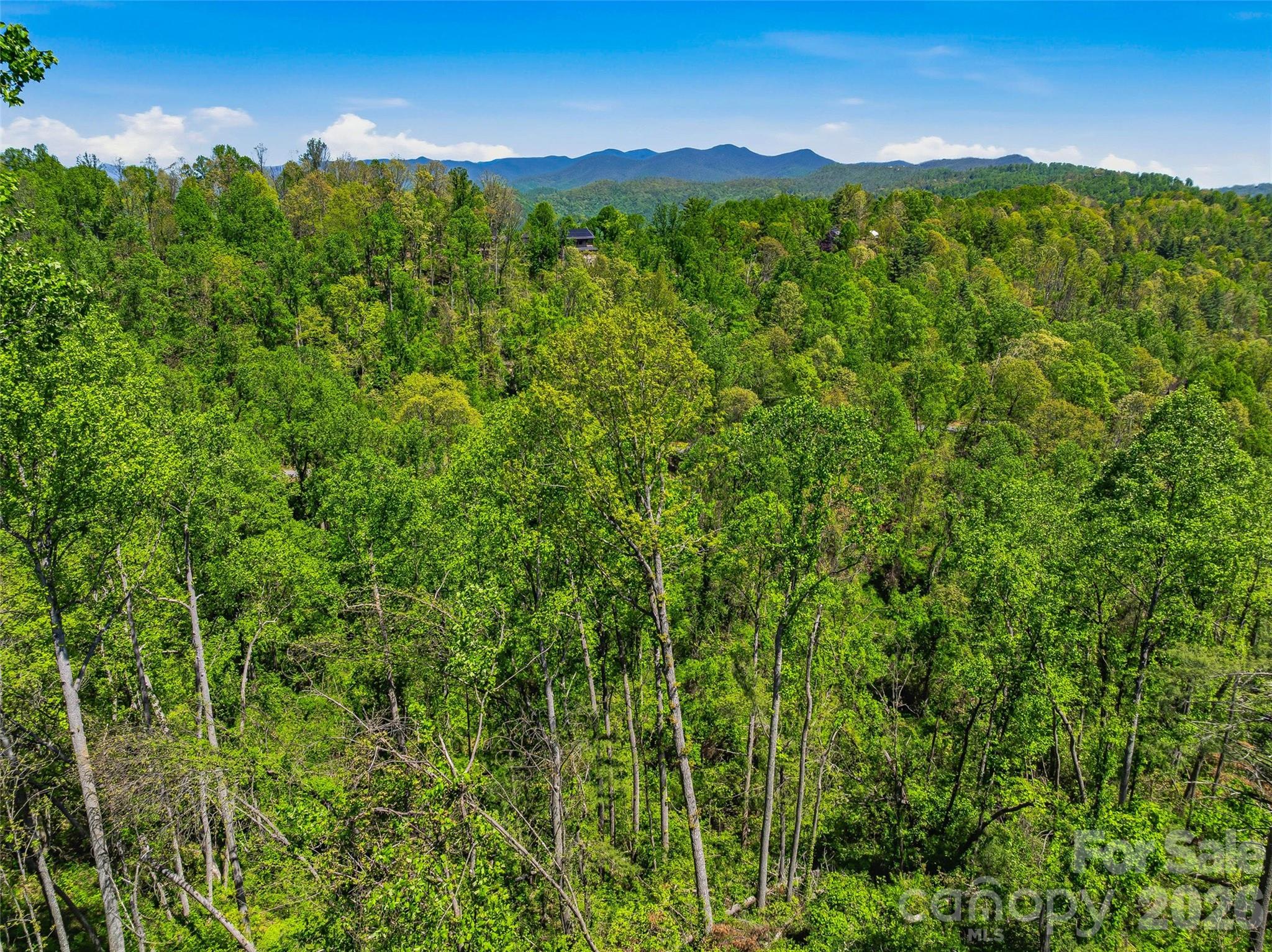 Homes for sale in Asheville, NC | 135 Starling Pass, Asheville, NC 28804 | MLS# 4374206