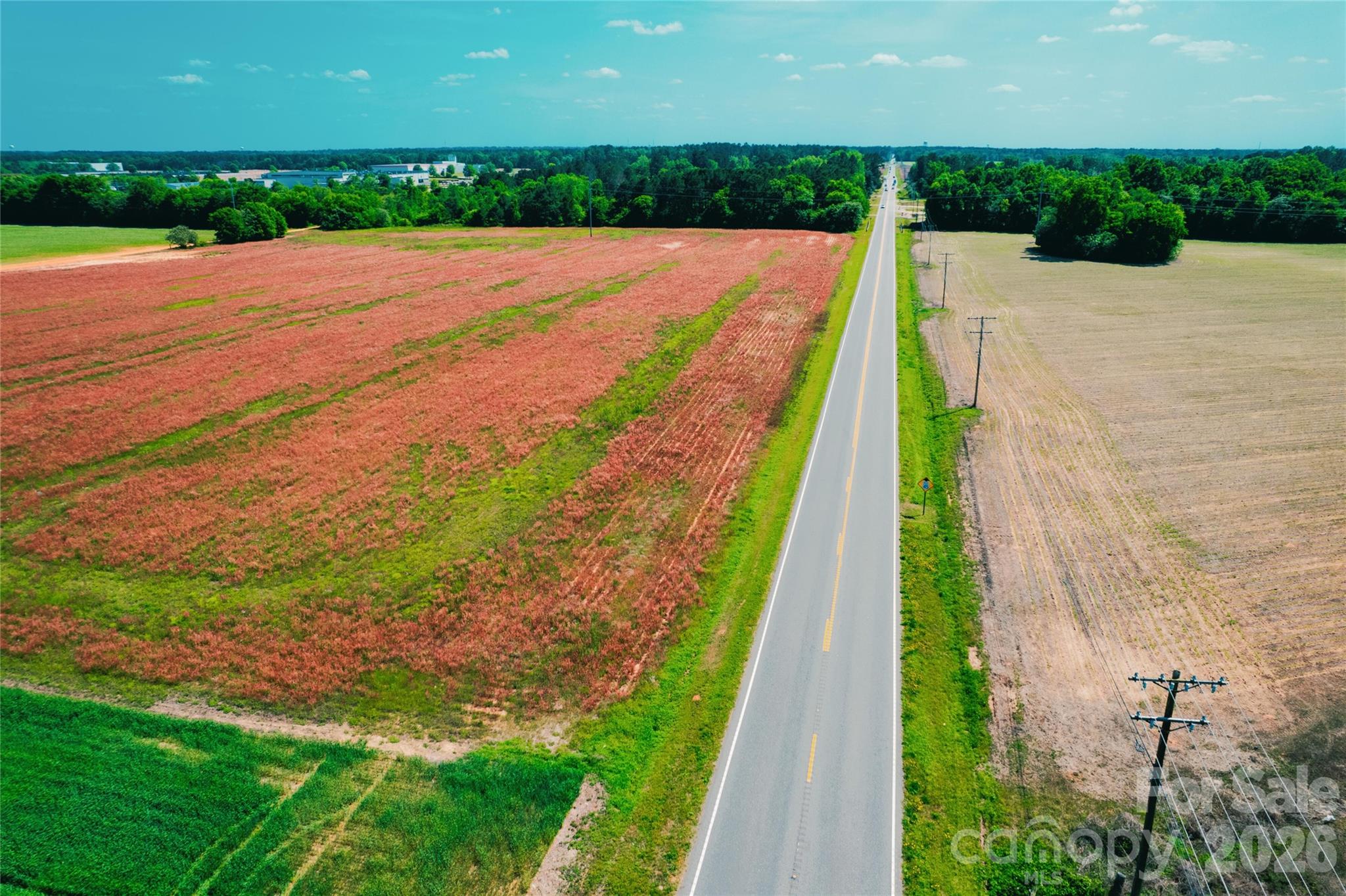 Homes for sale in Bennettsville, SC | 0 Rogers Ln, Bennettsville, SC 29512 | MLS# 4377821
