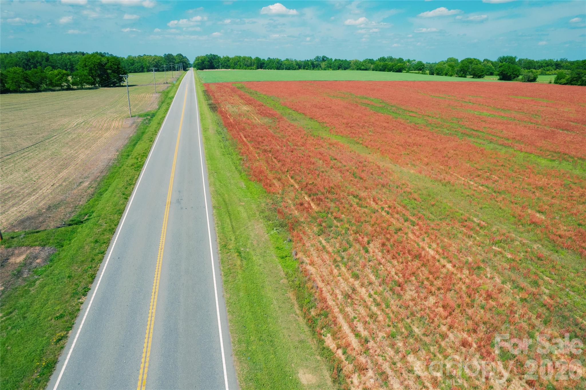 Homes for sale in Bennettsville, SC | 0 Rogers Ln, Bennettsville, SC 29512 | MLS# 4377821