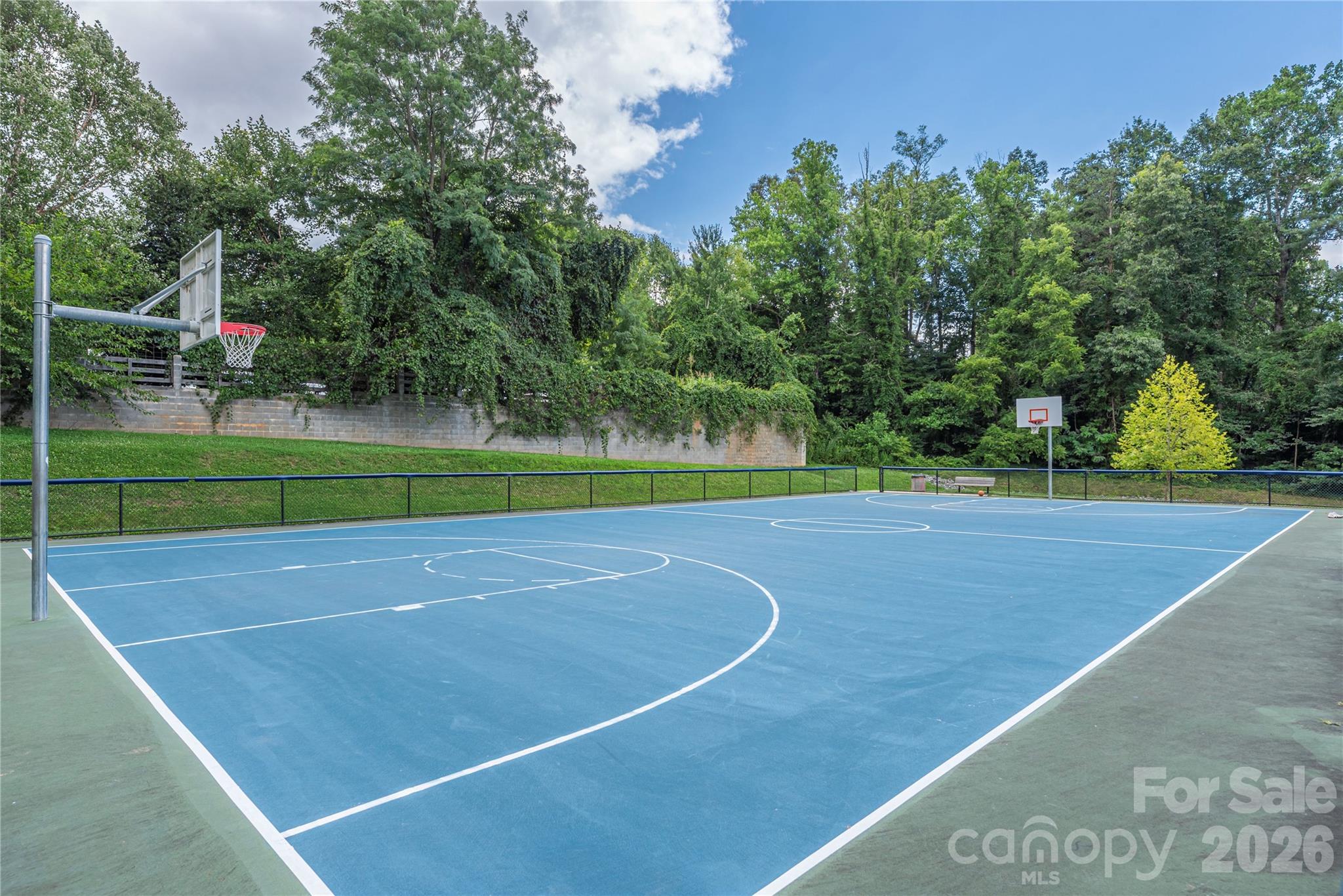 37th image of 28 Reagan Run Ct, Arden, NC 28704 | MLS# 4377989