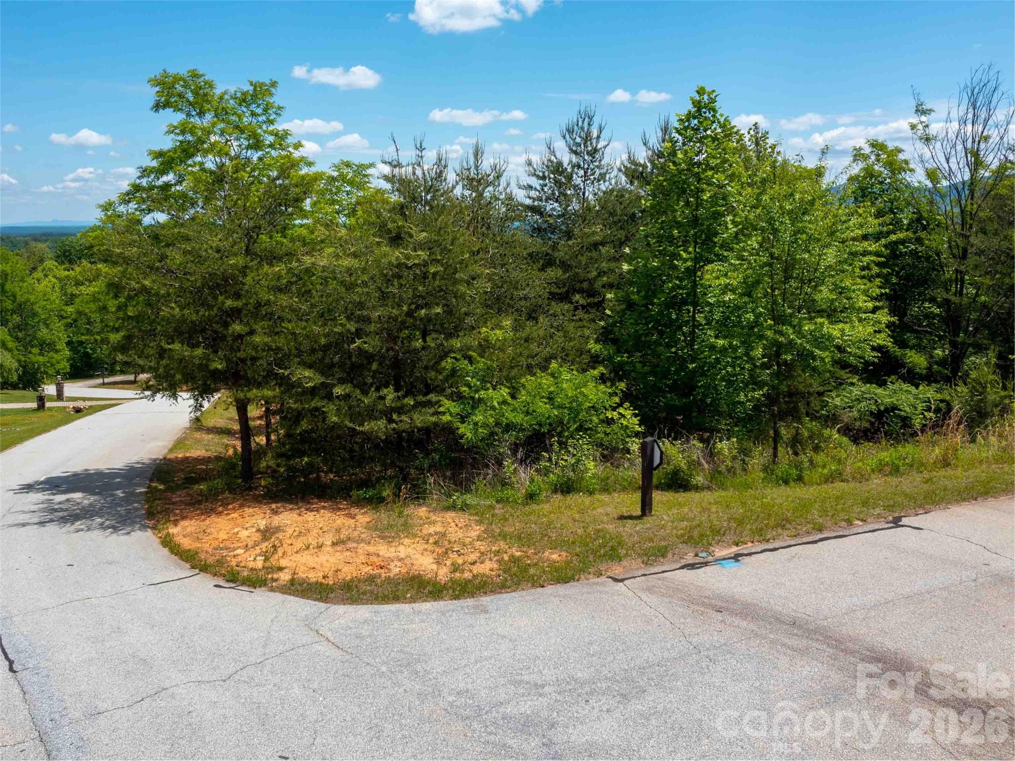 Homes for sale in Mill Spring, NC | Lot 150 Birkdale Dr, Mill Spring, NC 28756 | MLS# 4379668