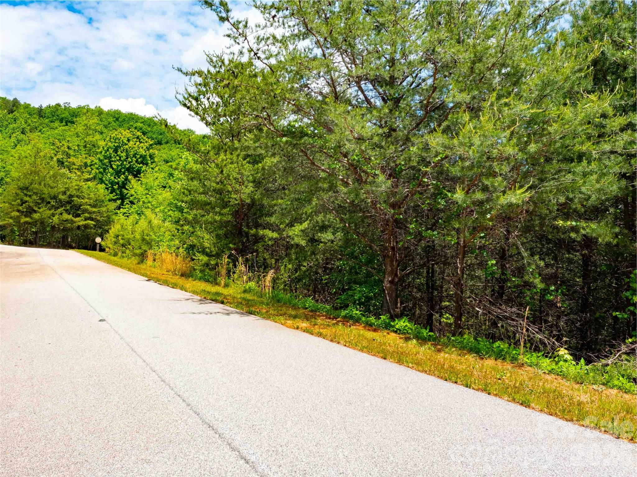 Homes for sale in Mill Spring, NC | Lot 150 Birkdale Dr, Mill Spring, NC 28756 | MLS# 4379668