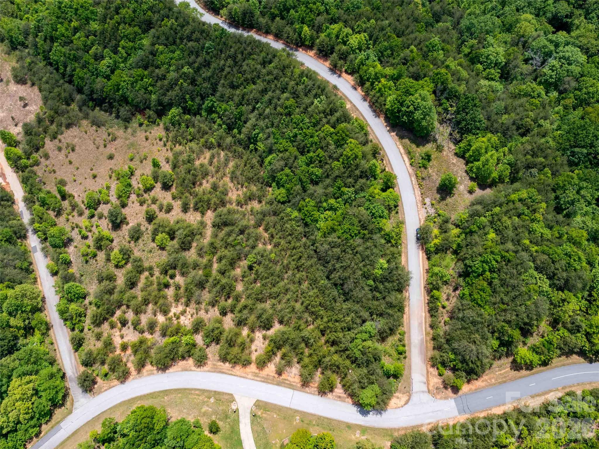 Homes for sale in Mill Spring, NC | Lot 150 Birkdale Dr, Mill Spring, NC 28756 | MLS# 4379668
