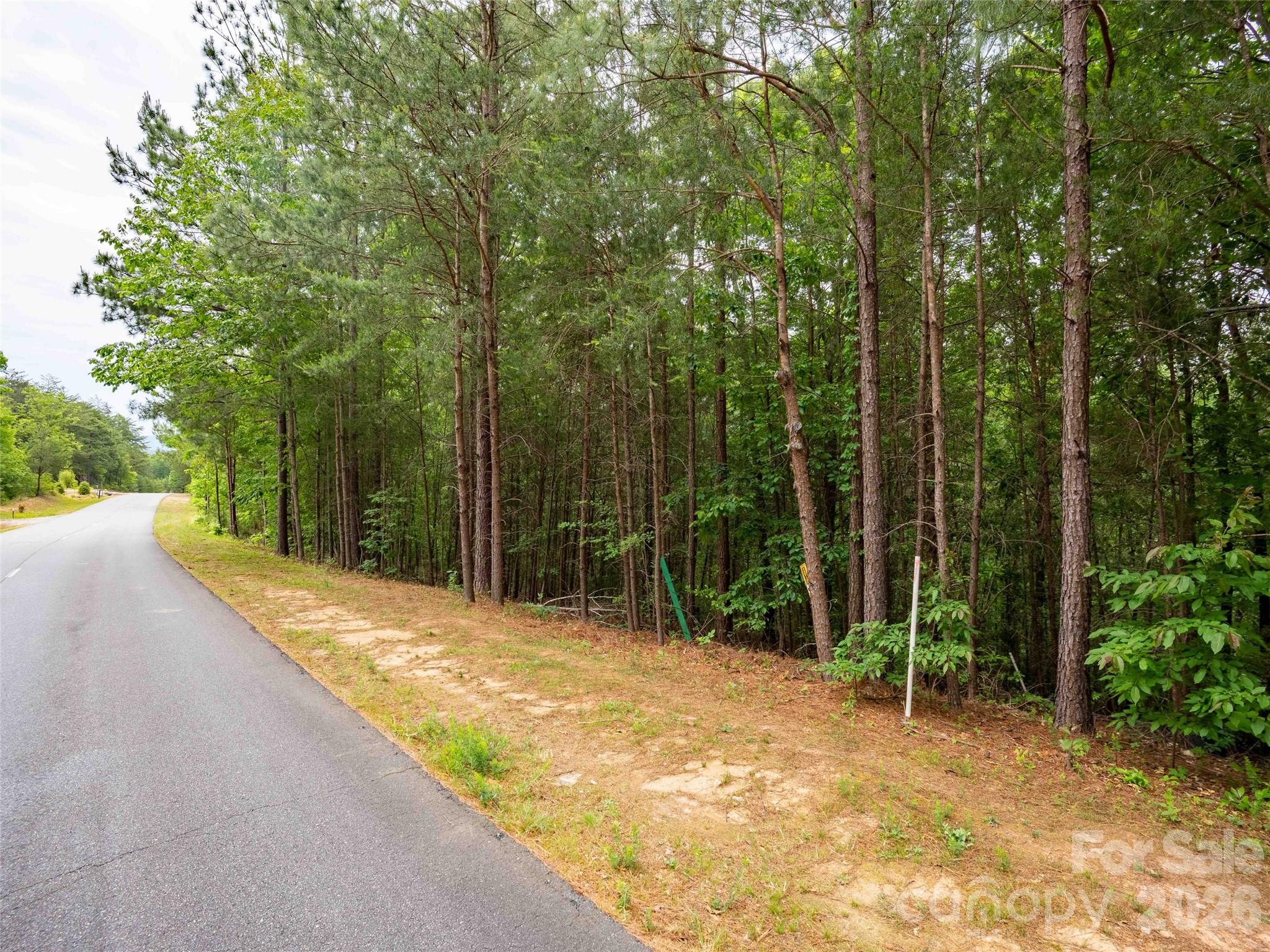 Homes for sale in Mill Spring, NC | Lot 2009 Deep Gap Farm Rd W, Mill Spring, NC 28756 | MLS# 4379670