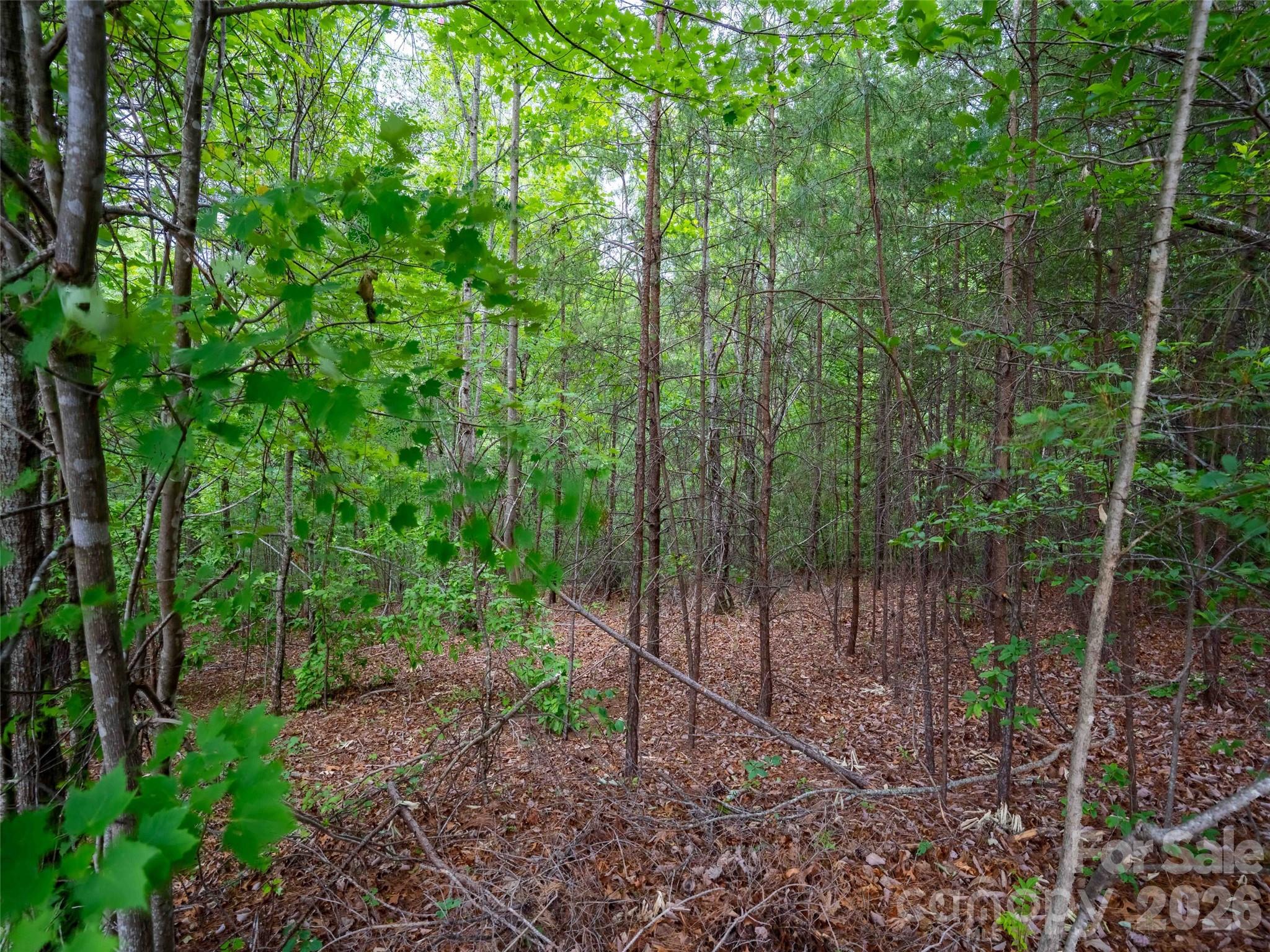 Homes for sale in Mill Spring, NC | Lot 2009 Deep Gap Farm Rd W, Mill Spring, NC 28756 | MLS# 4379670