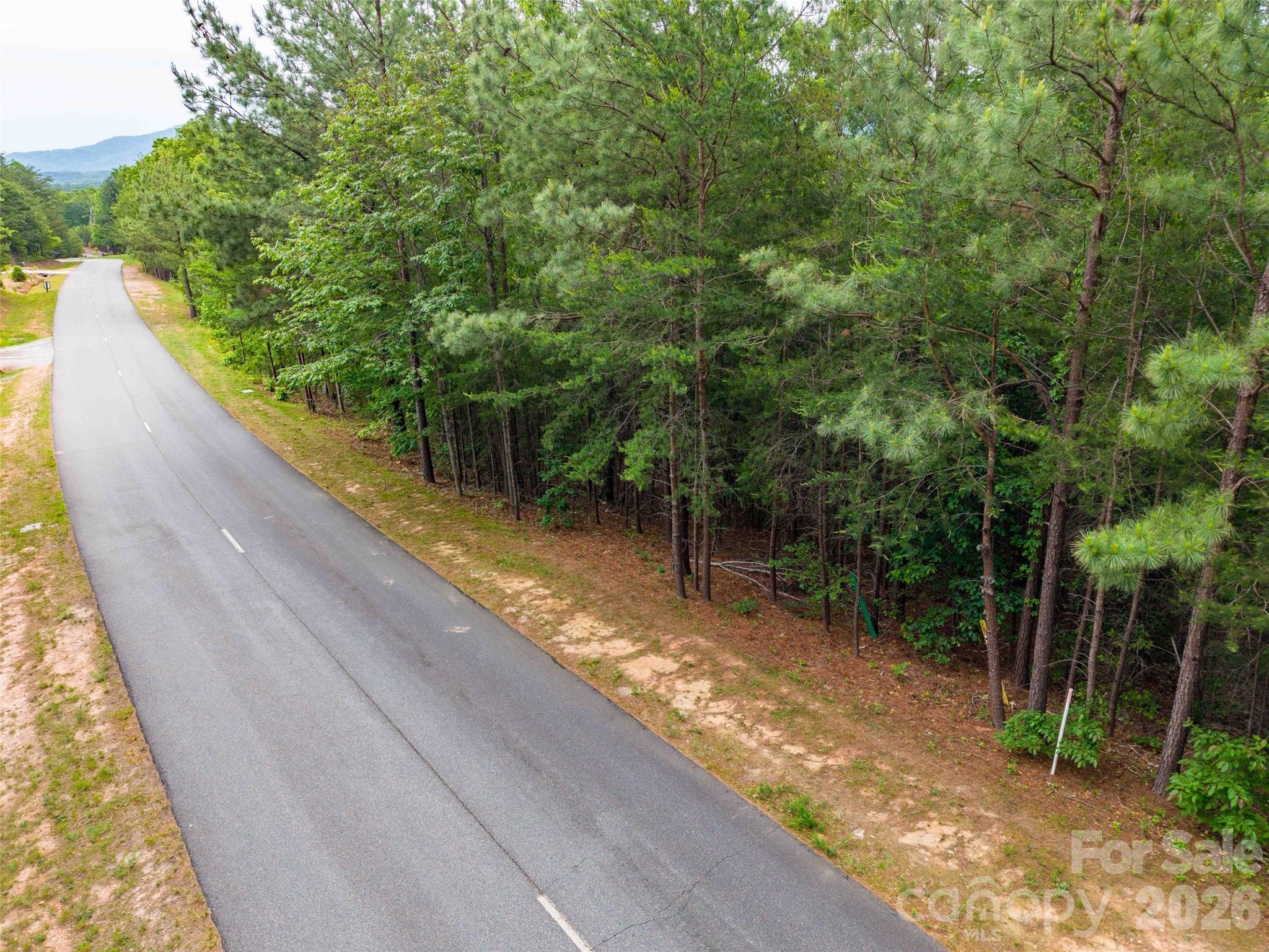 Homes for sale in Mill Spring, NC | Lot 2009 Deep Gap Farm Rd W, Mill Spring, NC 28756 | MLS# 4379670