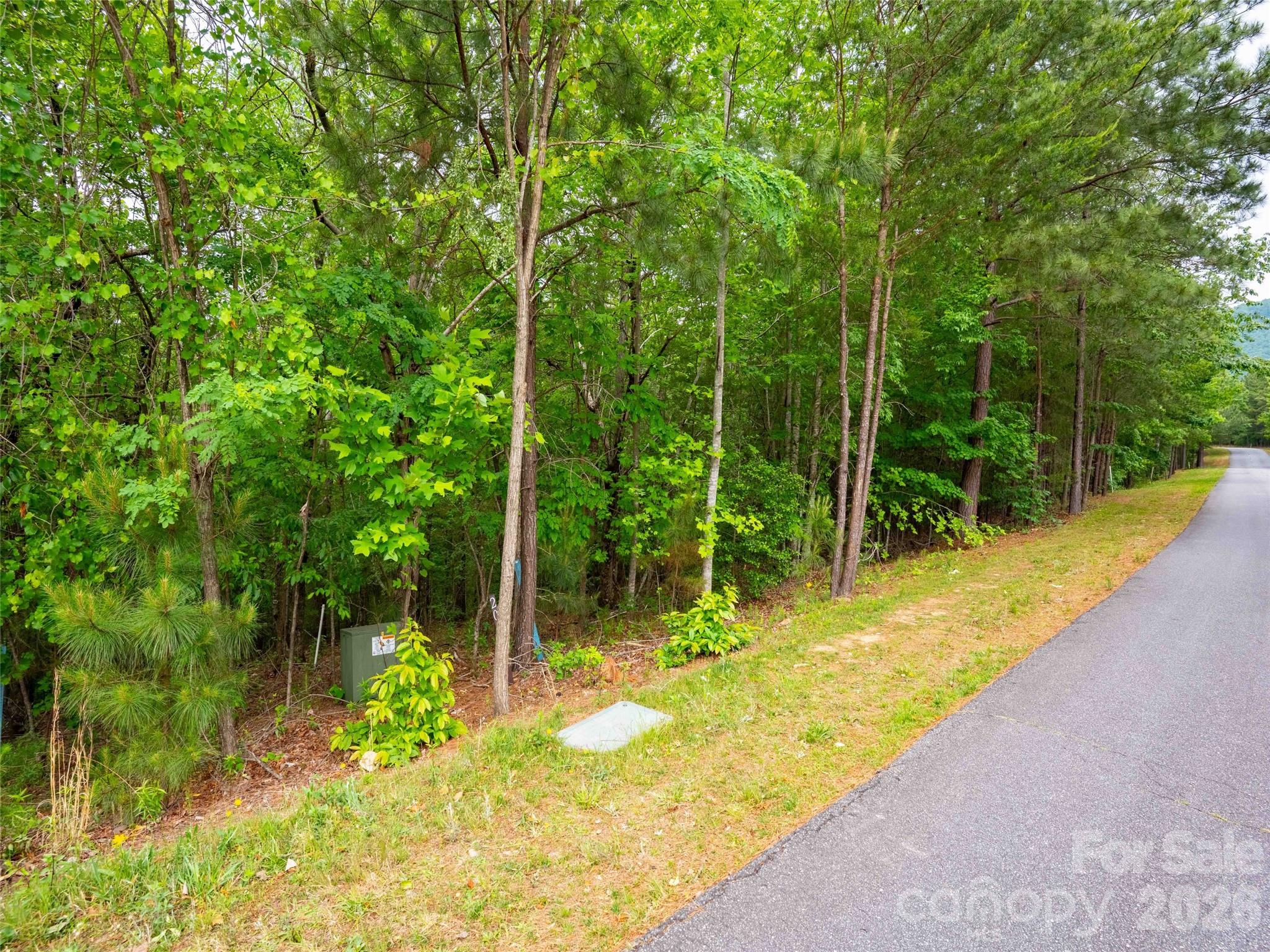 Homes for sale in Mill Spring, NC | Lot 2009 Deep Gap Farm Rd W, Mill Spring, NC 28756 | MLS# 4379670
