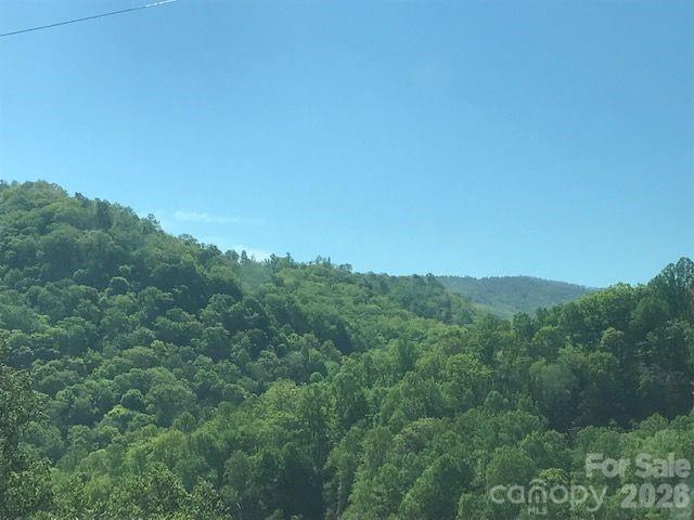 3rd image of 00 Charleston Harbor Dr #11, Saluda, NC 28773 | MLS# 4380918