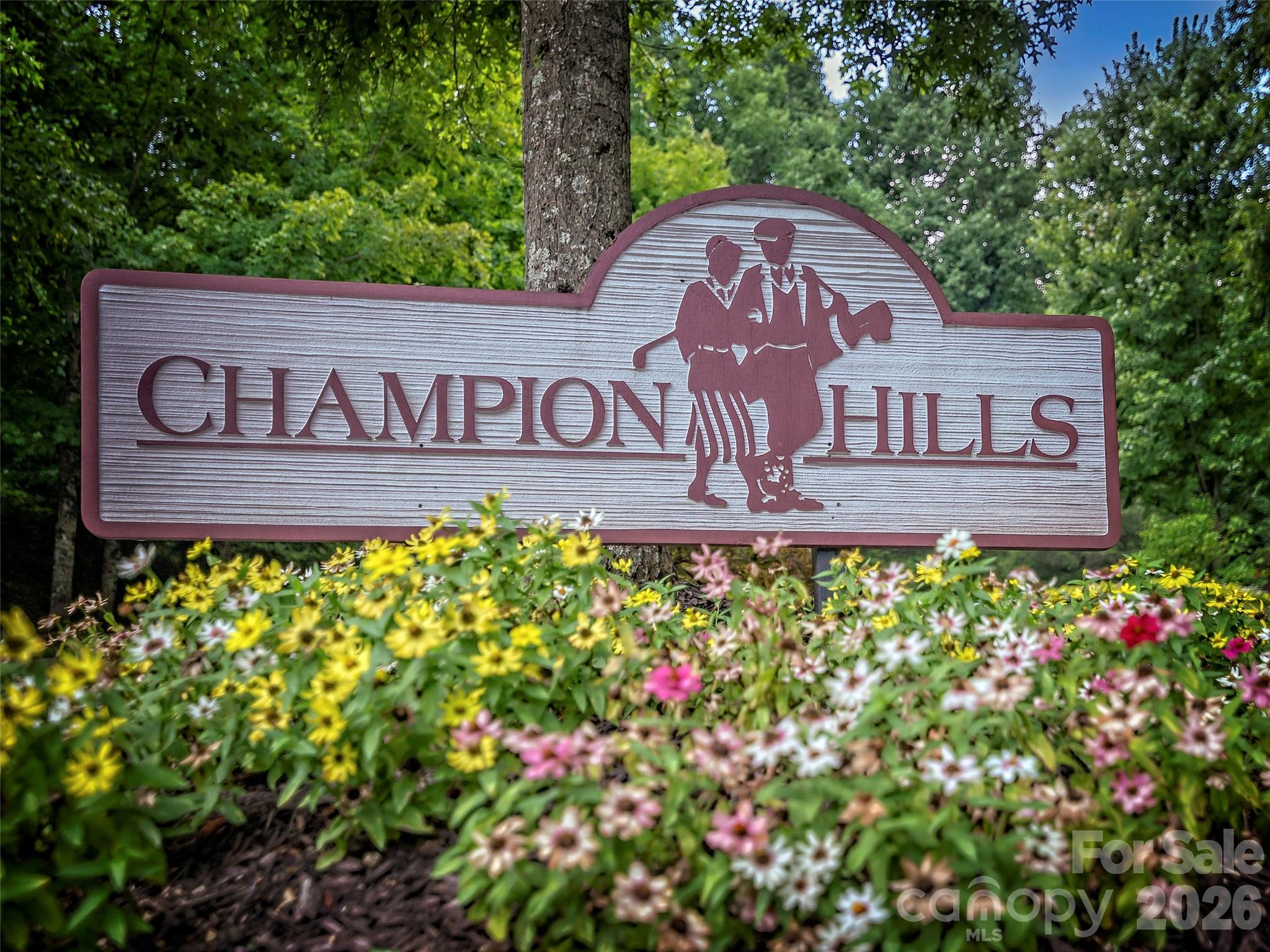 34th image of 4 Lacoste Dr, Hendersonville, NC 28739 | MLS# 4381202