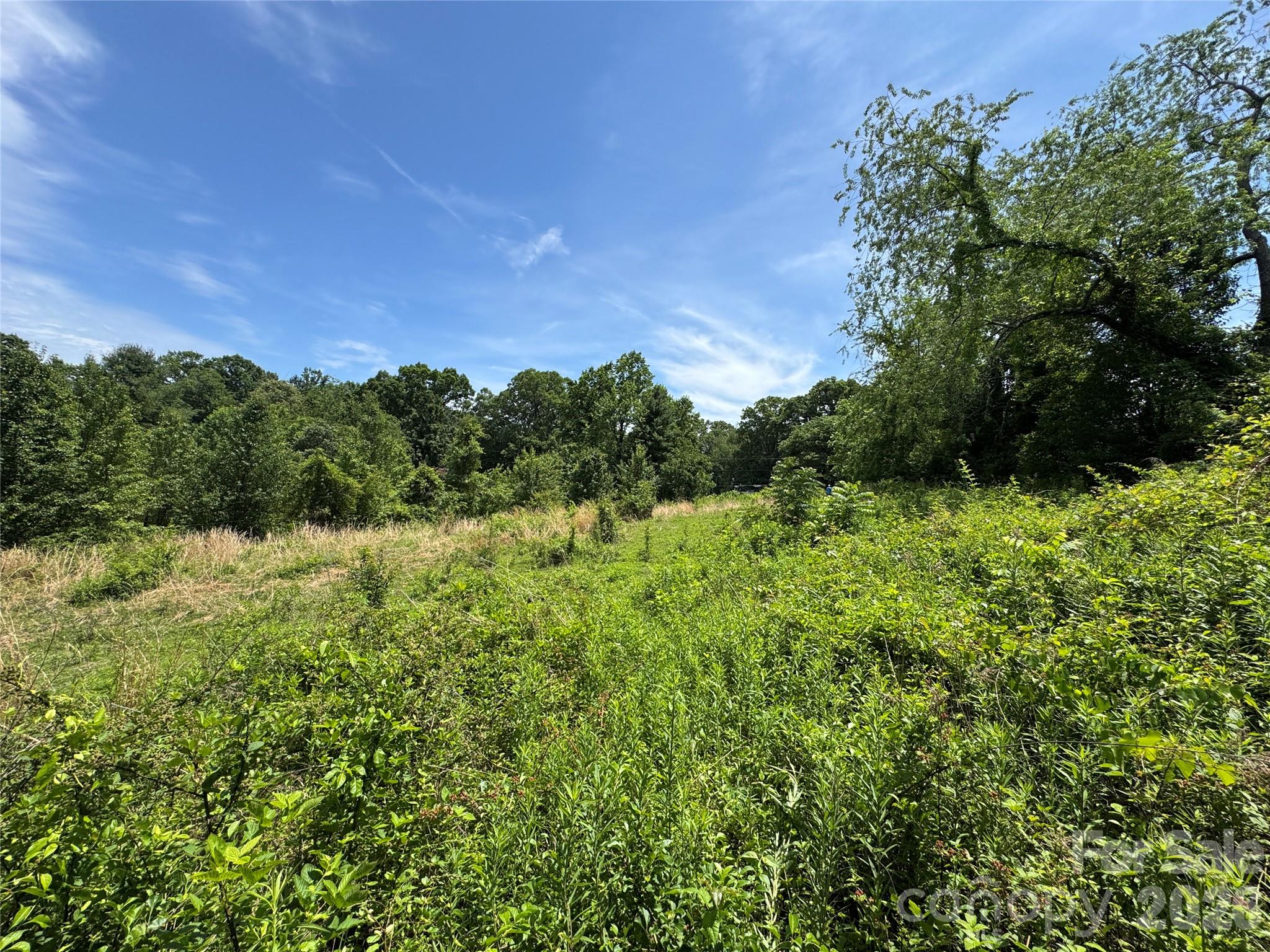 Homes for sale in Candler, NC | Tbd Duckett Rd, Candler, NC 28715 | MLS# 4381292