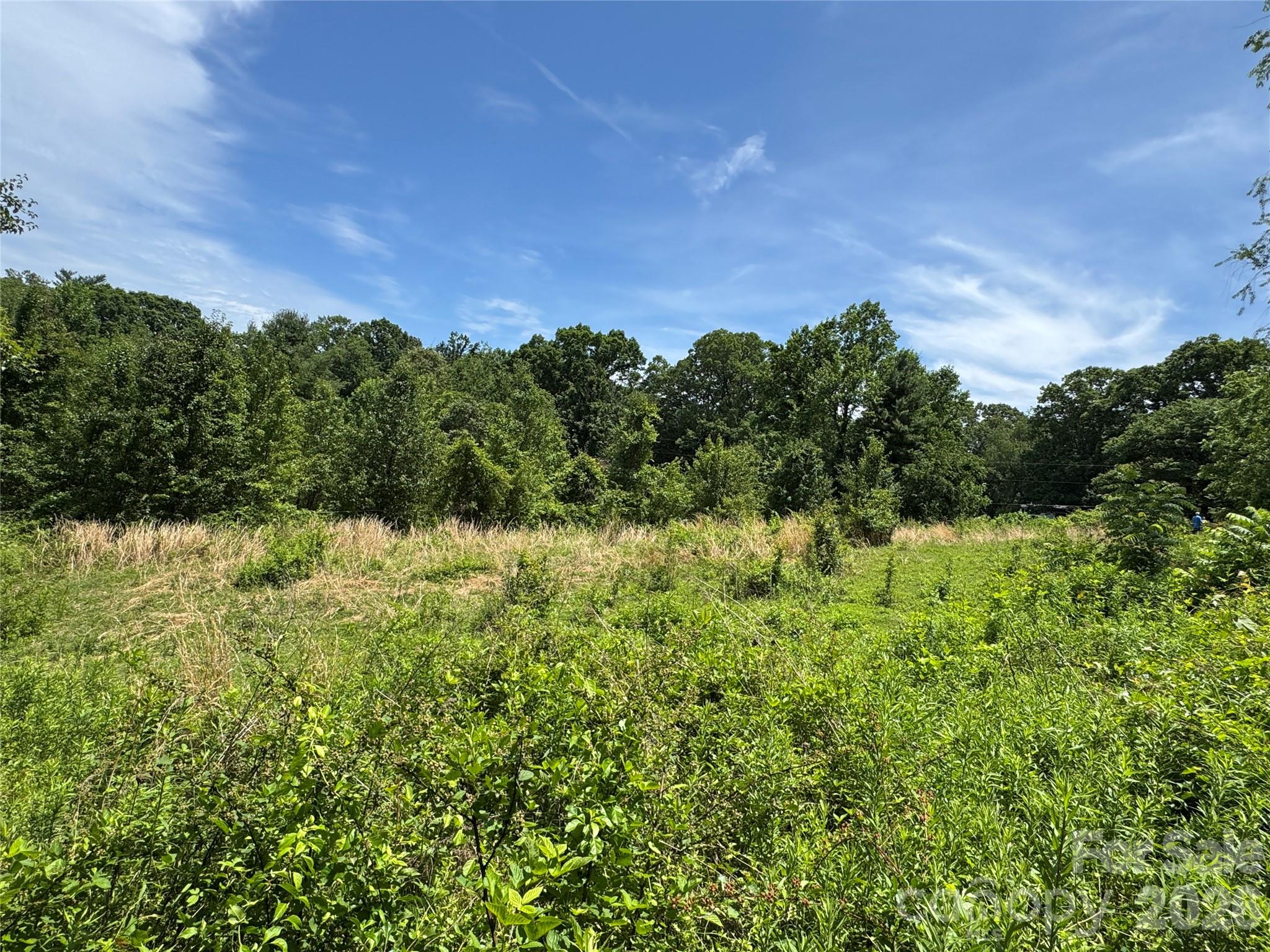 Homes for sale in Candler, NC | Tbd Duckett Rd, Candler, NC 28715 | MLS# 4381292