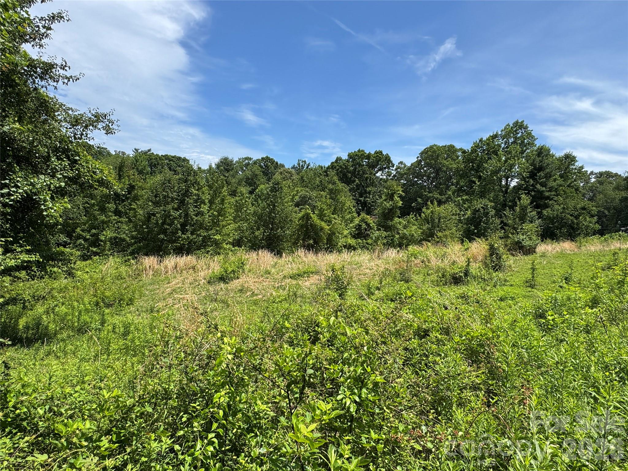 Homes for sale in Candler, NC | Tbd Duckett Rd, Candler, NC 28715 | MLS# 4381292