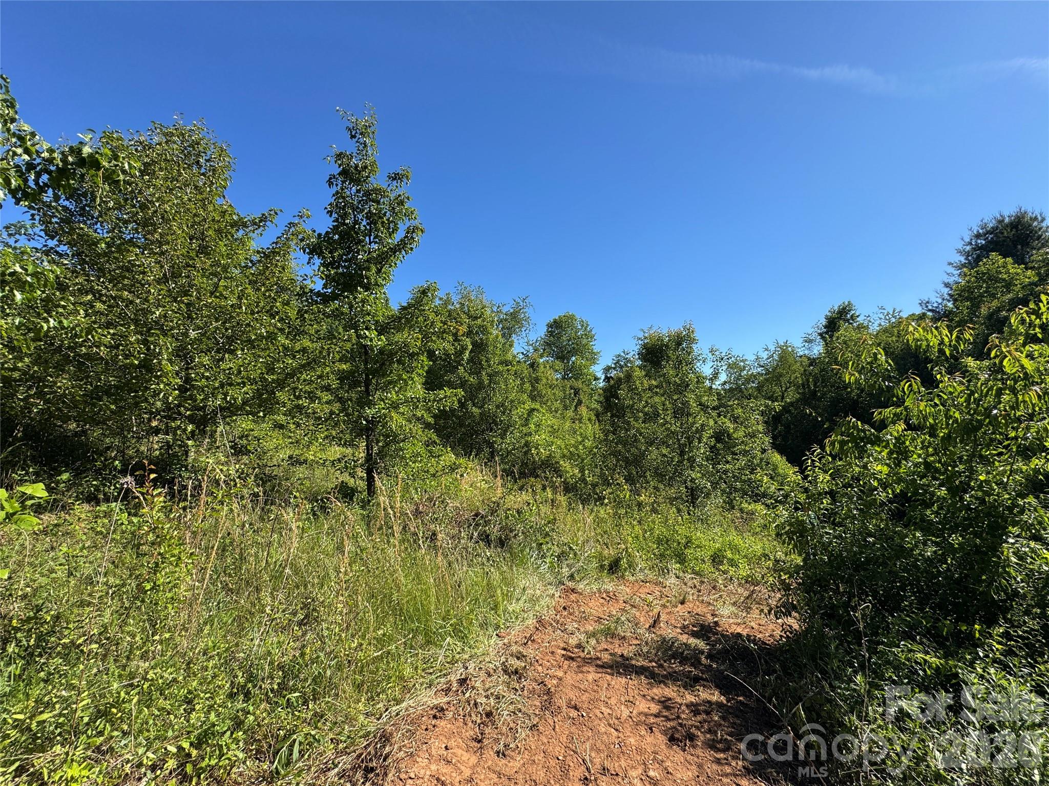 Homes for sale in Candler, NC | Tbd Duckett Rd, Candler, NC 28715 | MLS# 4381292