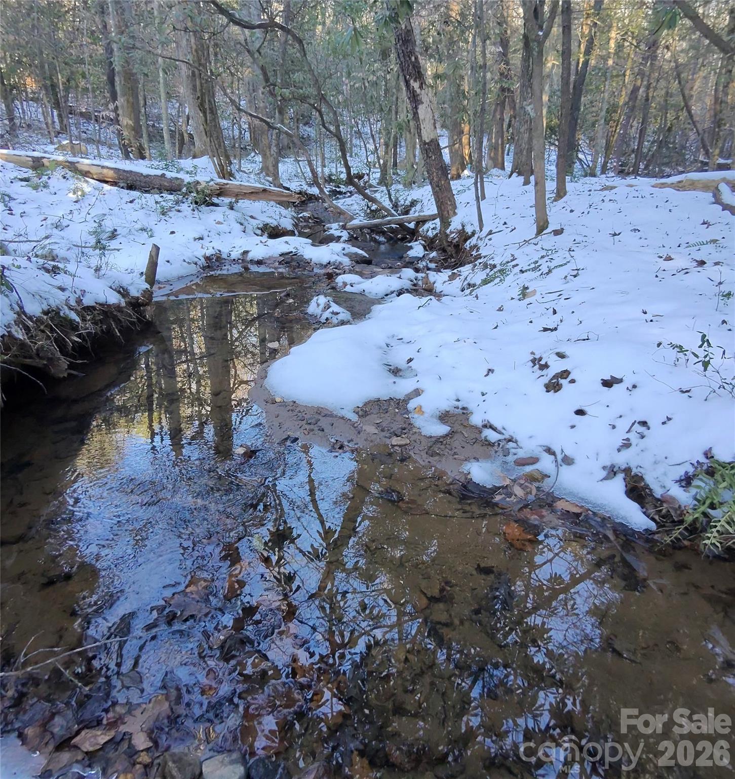 4th image of 670 Cedar Creek Rd, Lake Lure, NC 28746 | MLS# 4382823