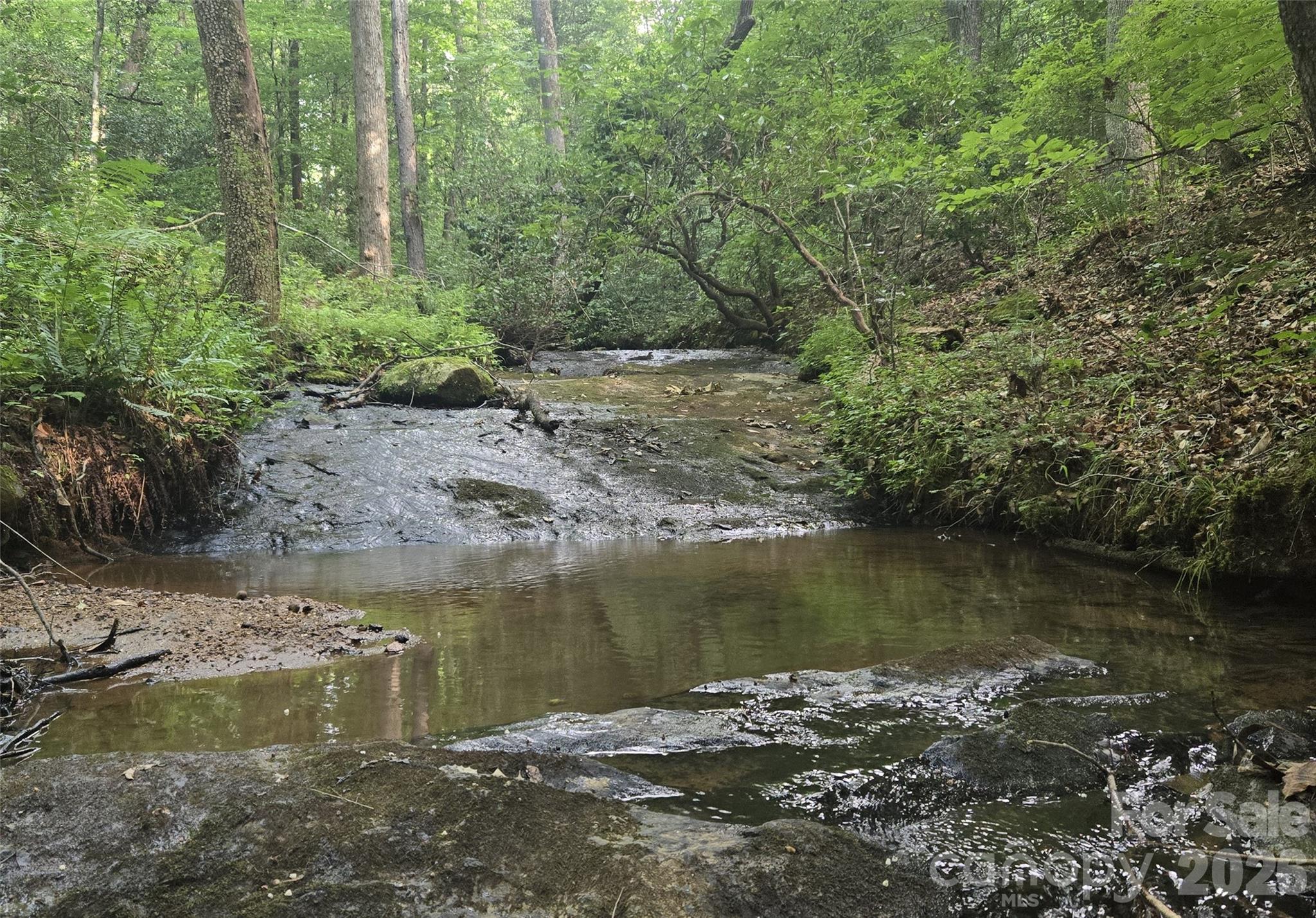3rd image of 670 Cedar Creek Rd, Lake Lure, NC 28746 | MLS# 4382823