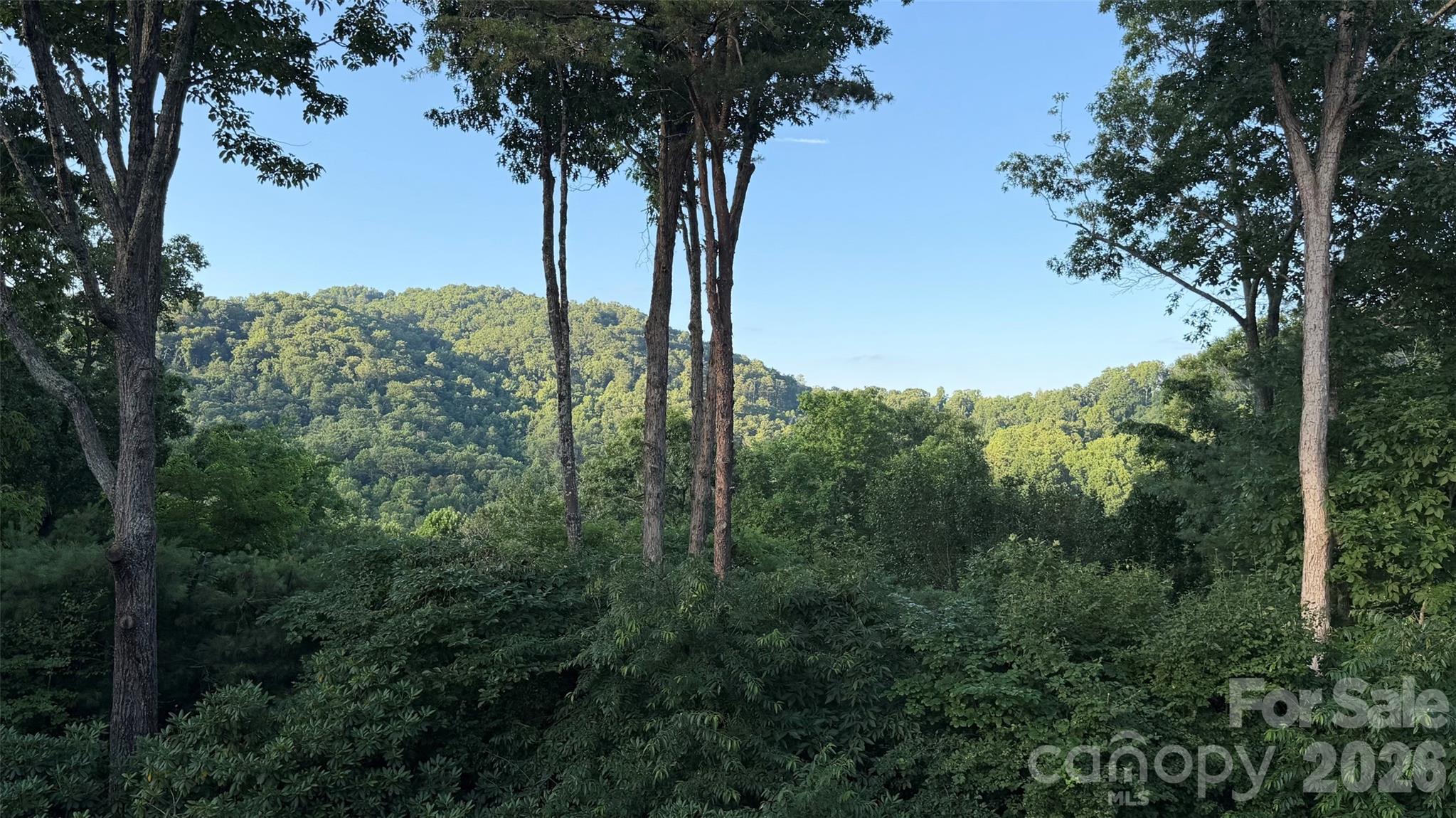 4th image of 152 Skyview Cir, Asheville, NC 28804 | MLS# 4384126