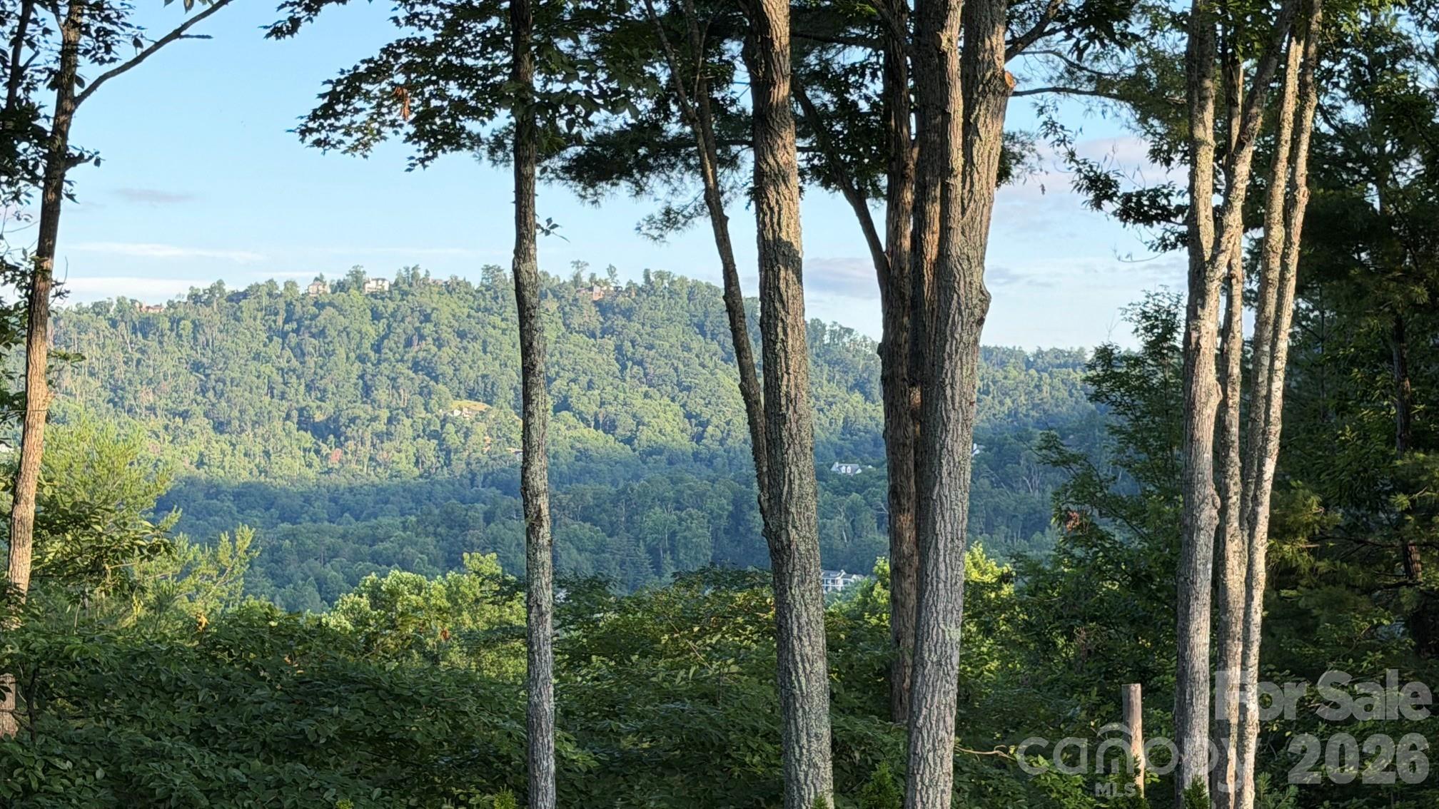 2nd image of 152 Skyview Cir, Asheville, NC 28804 | MLS# 4384126