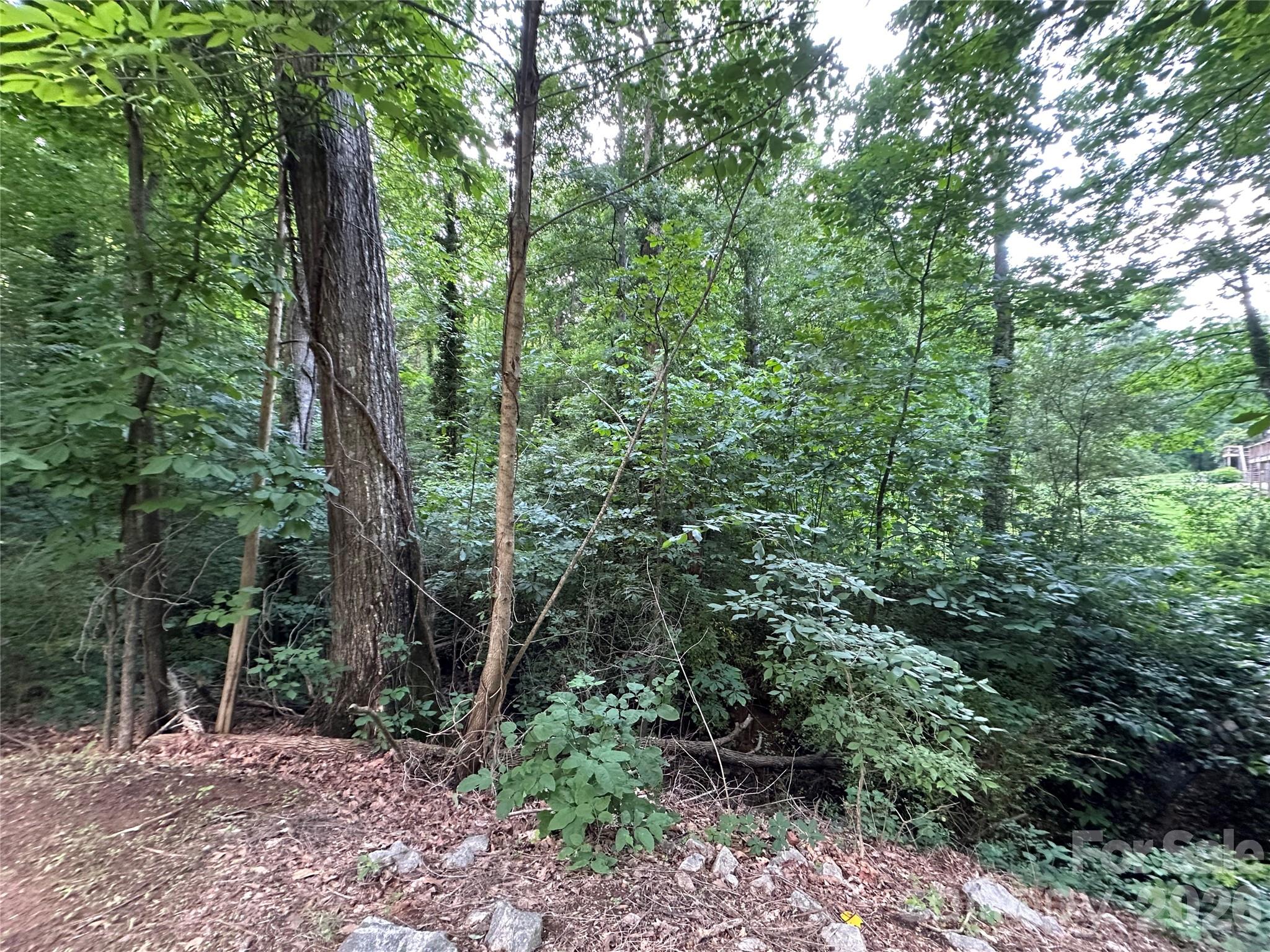 Homes for sale in Rockwell, NC | 0 Briarcliff Rd, Rockwell, NC 28138 | MLS# 4385107