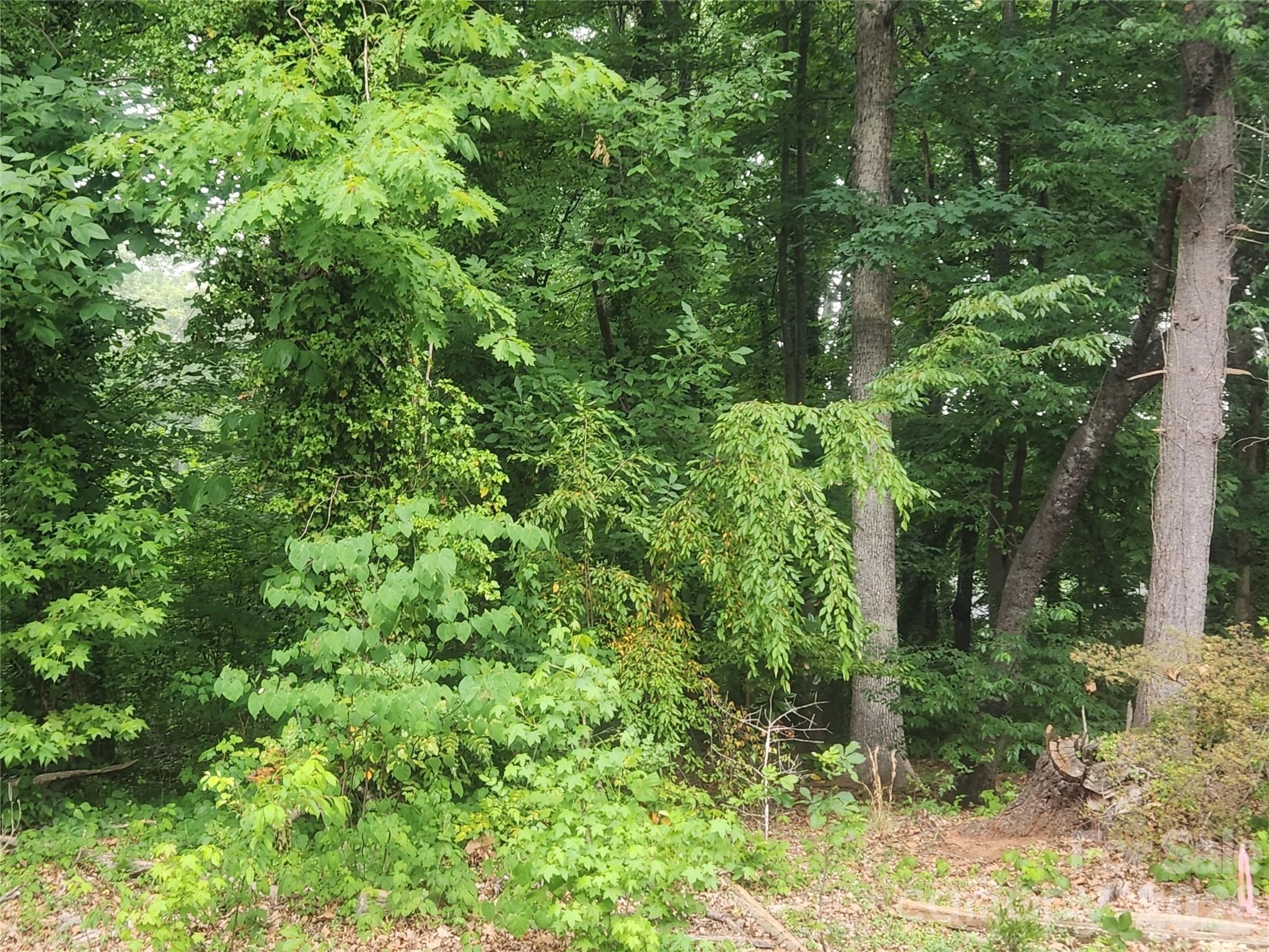 Homes for sale in Conover, NC | 205 7Th Street Pl Ne, Conover, NC 28613 | MLS# 4385512