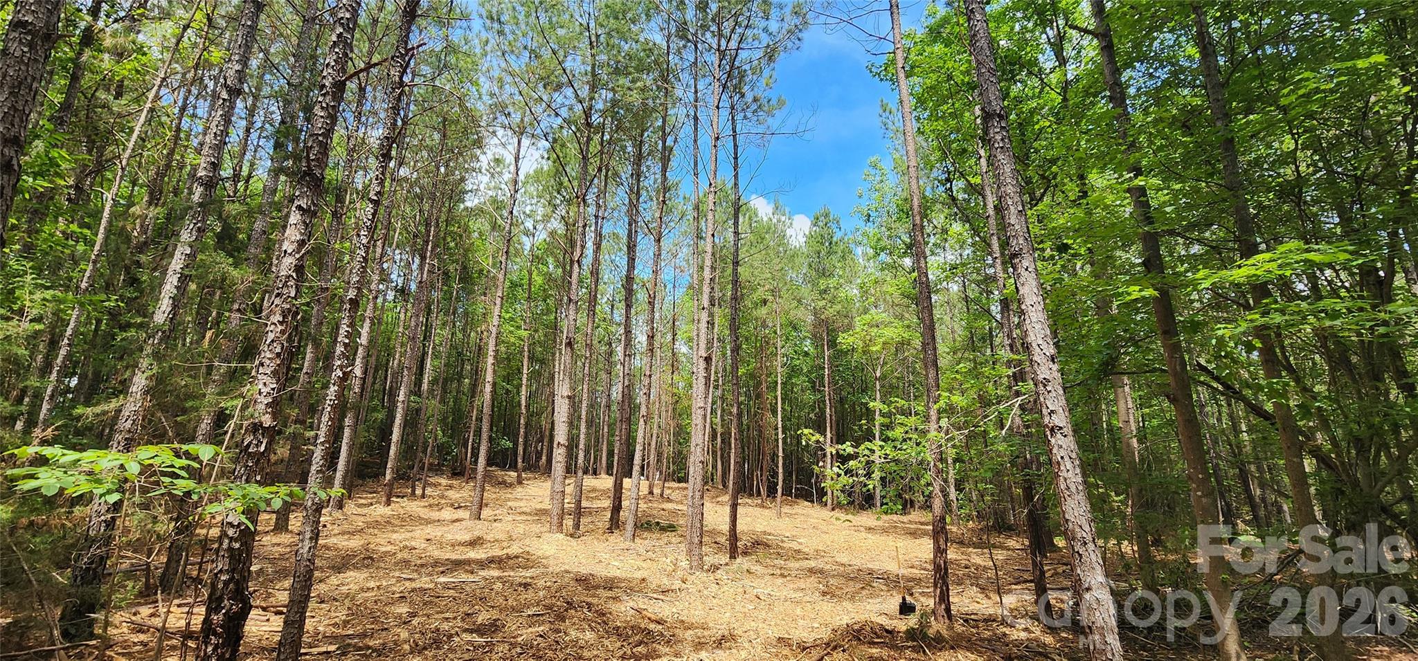 Homes for sale in Winnsboro, SC | 4870 Old Airport Rd, Winnsboro, SC 29180 | MLS# 4385896