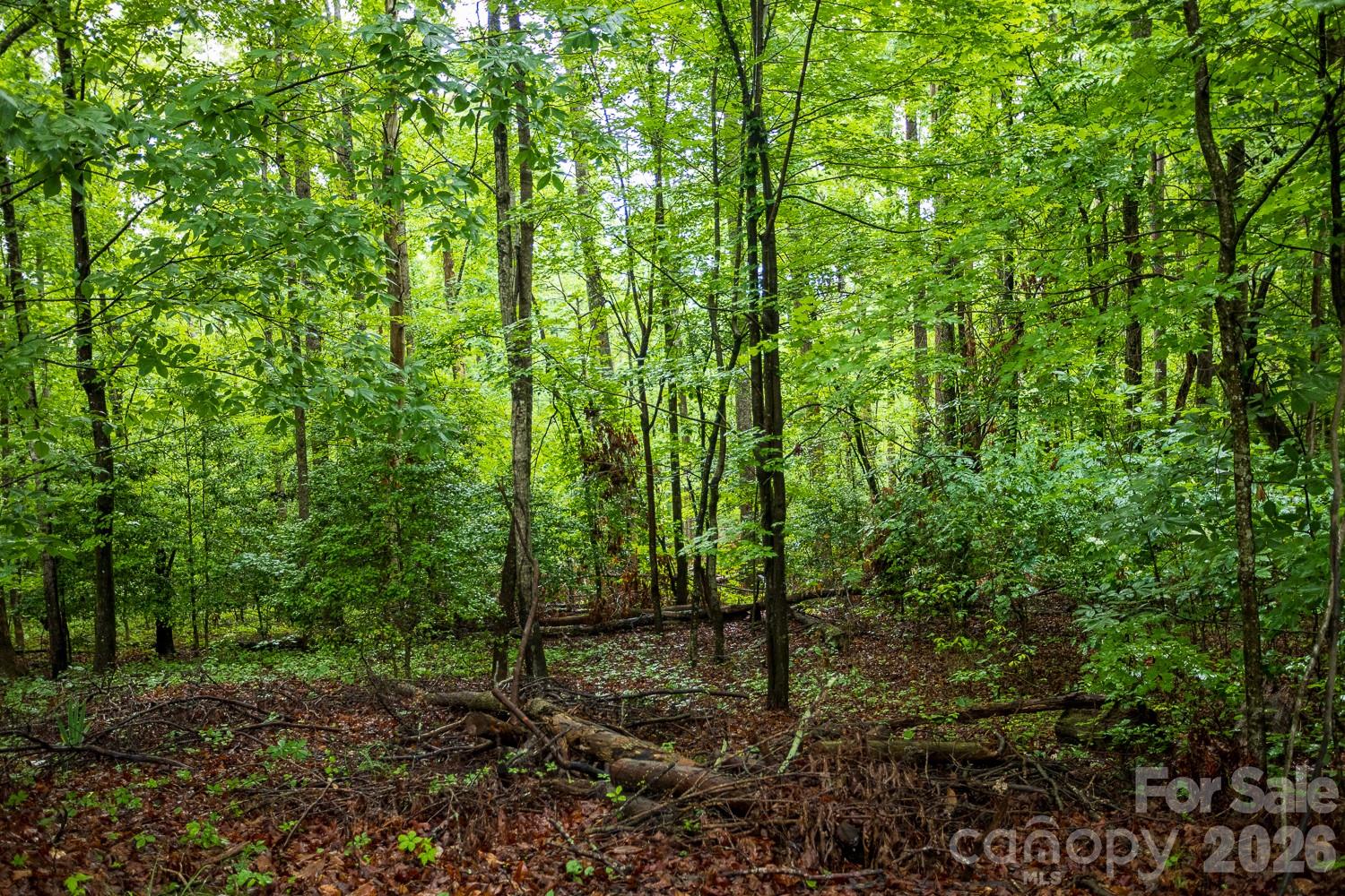 Homes for sale in Rutherfordton, NC | 1225 Moss Rd, Rutherfordton, NC 28139 | MLS# 4386364