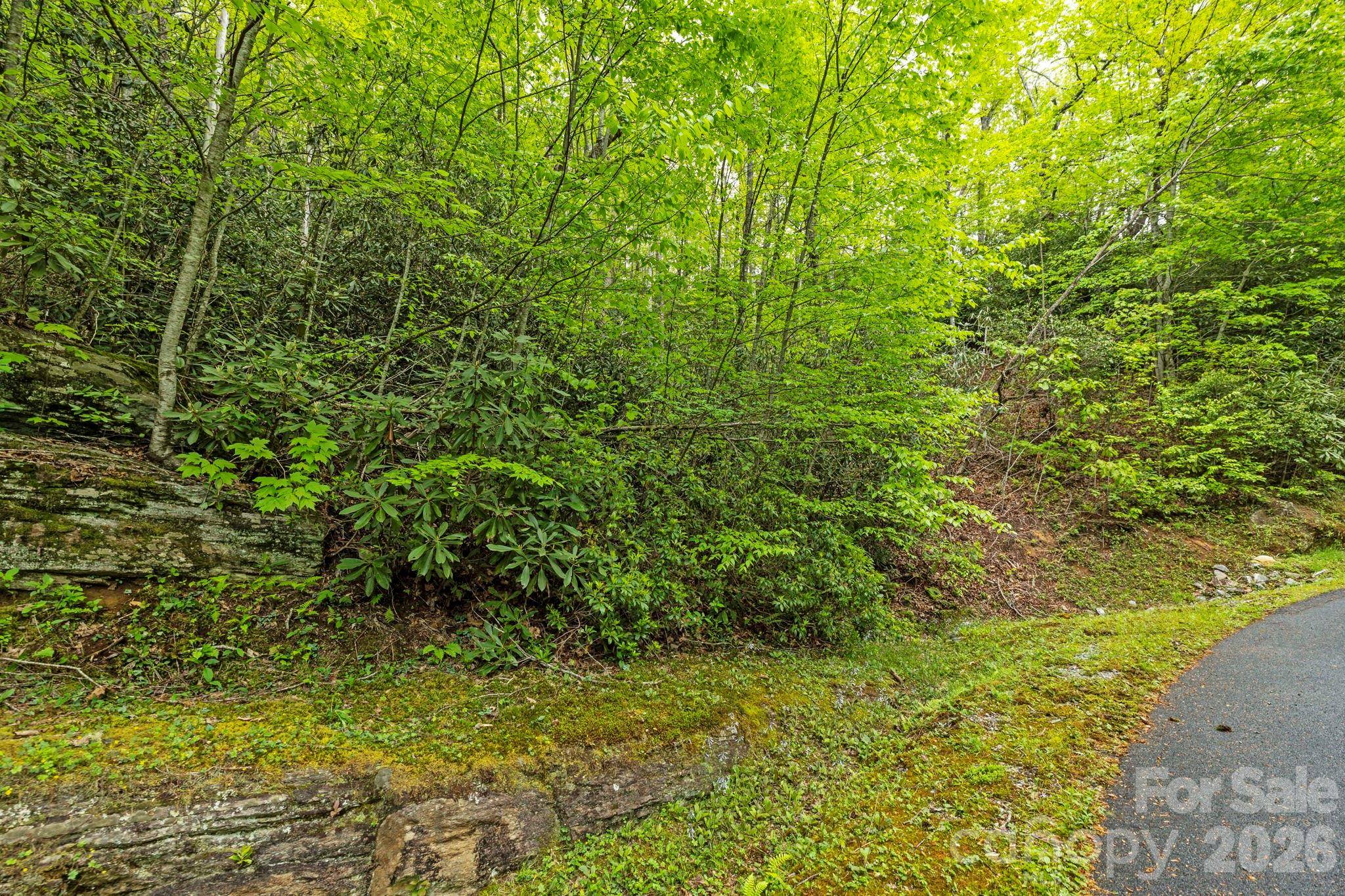 Homes for sale in Sapphire, NC | Tbd Hickory Shaft Dr, Sapphire, NC 28774 | MLS# 4386562